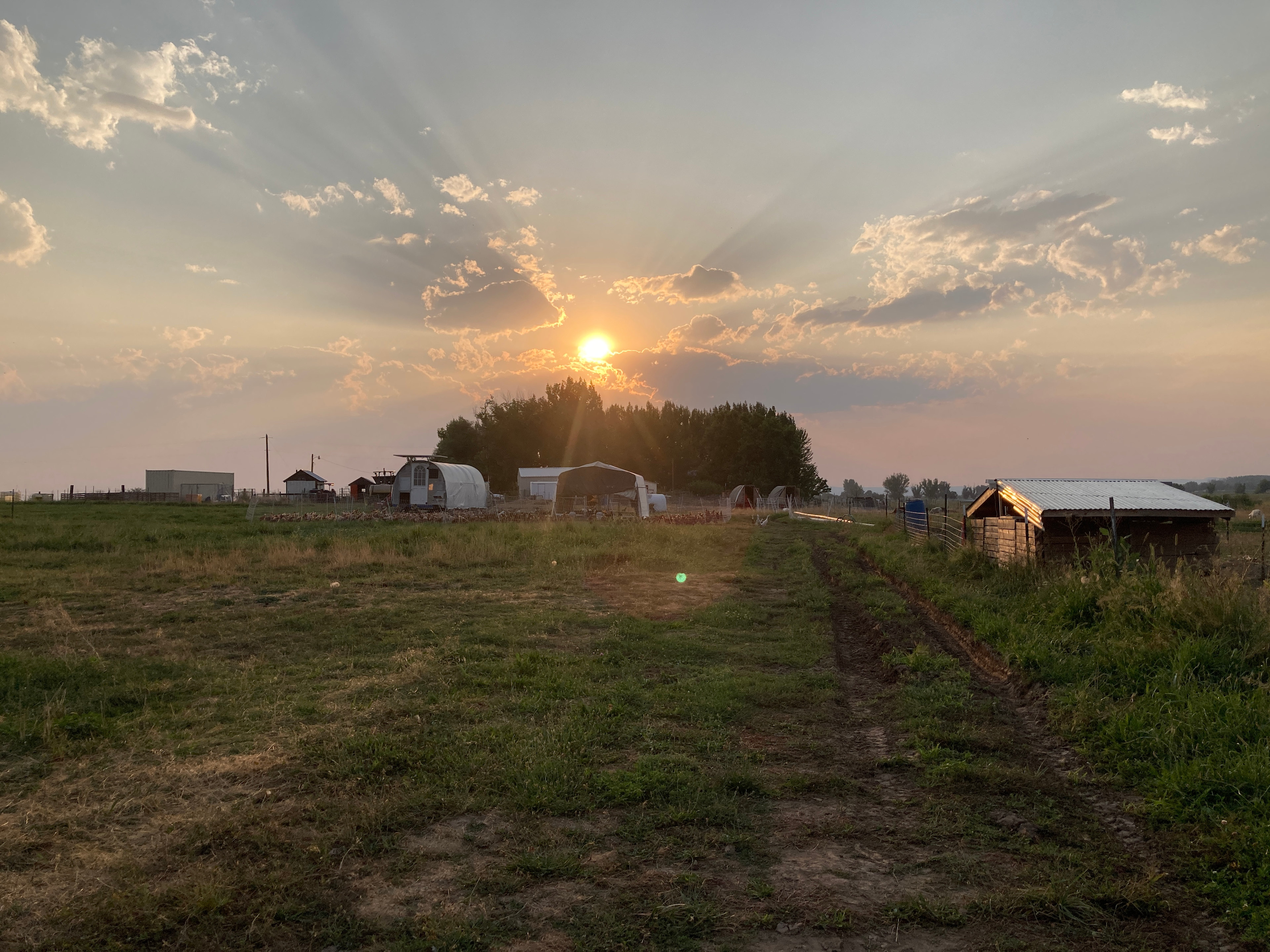 Folk Farm