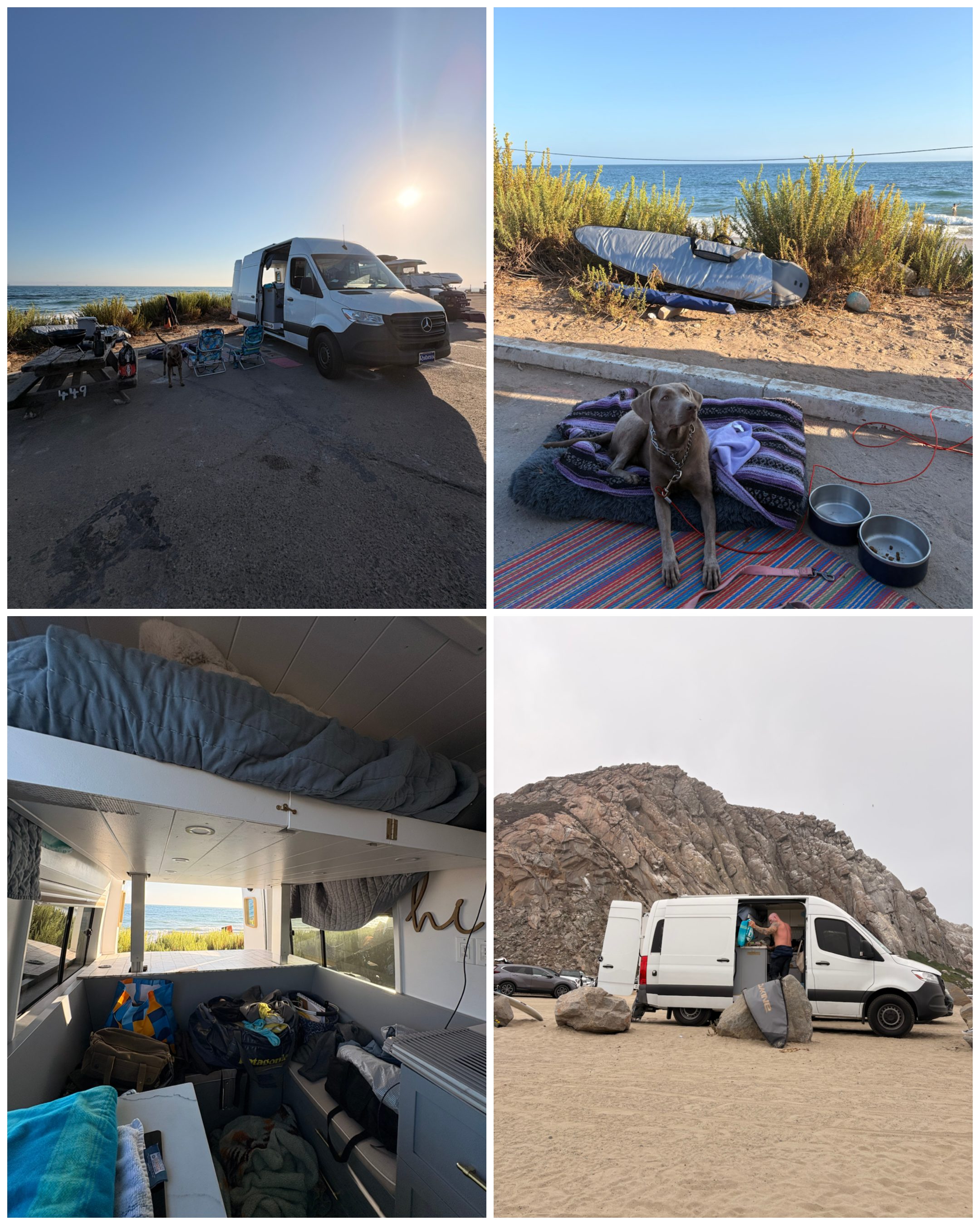 Carpinteria State Beach
