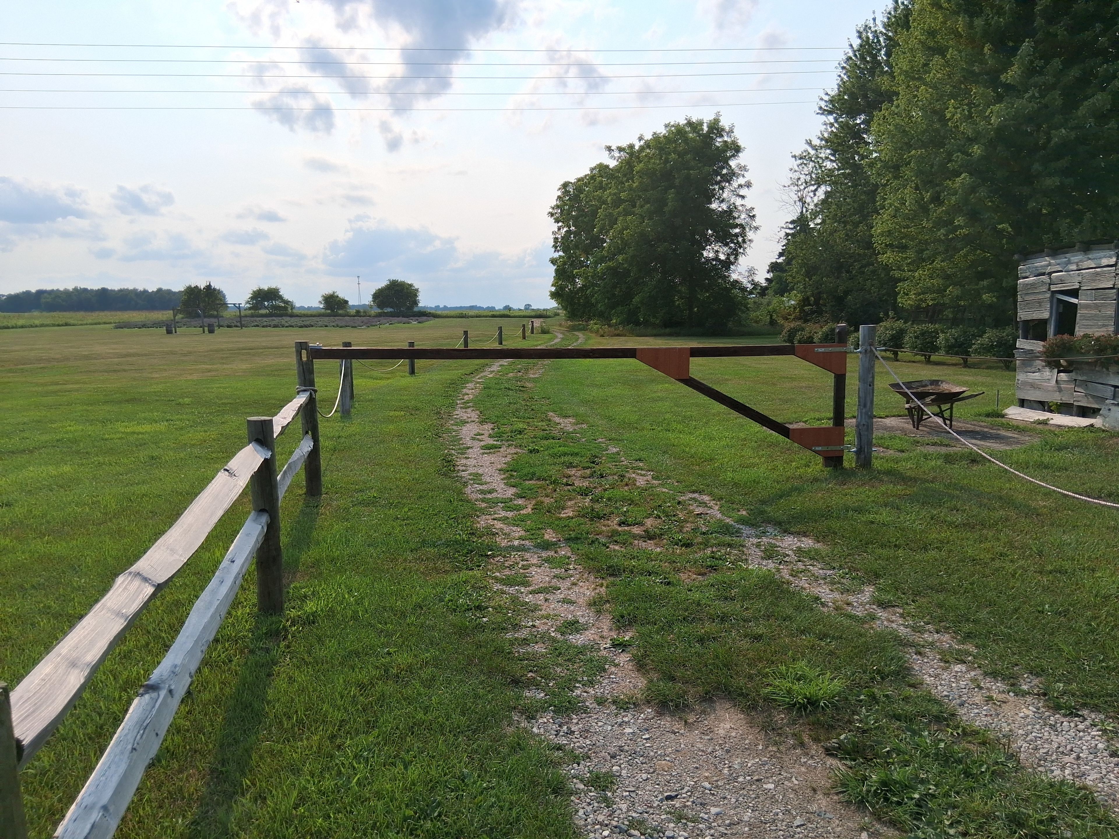 Lavender Shores Farm