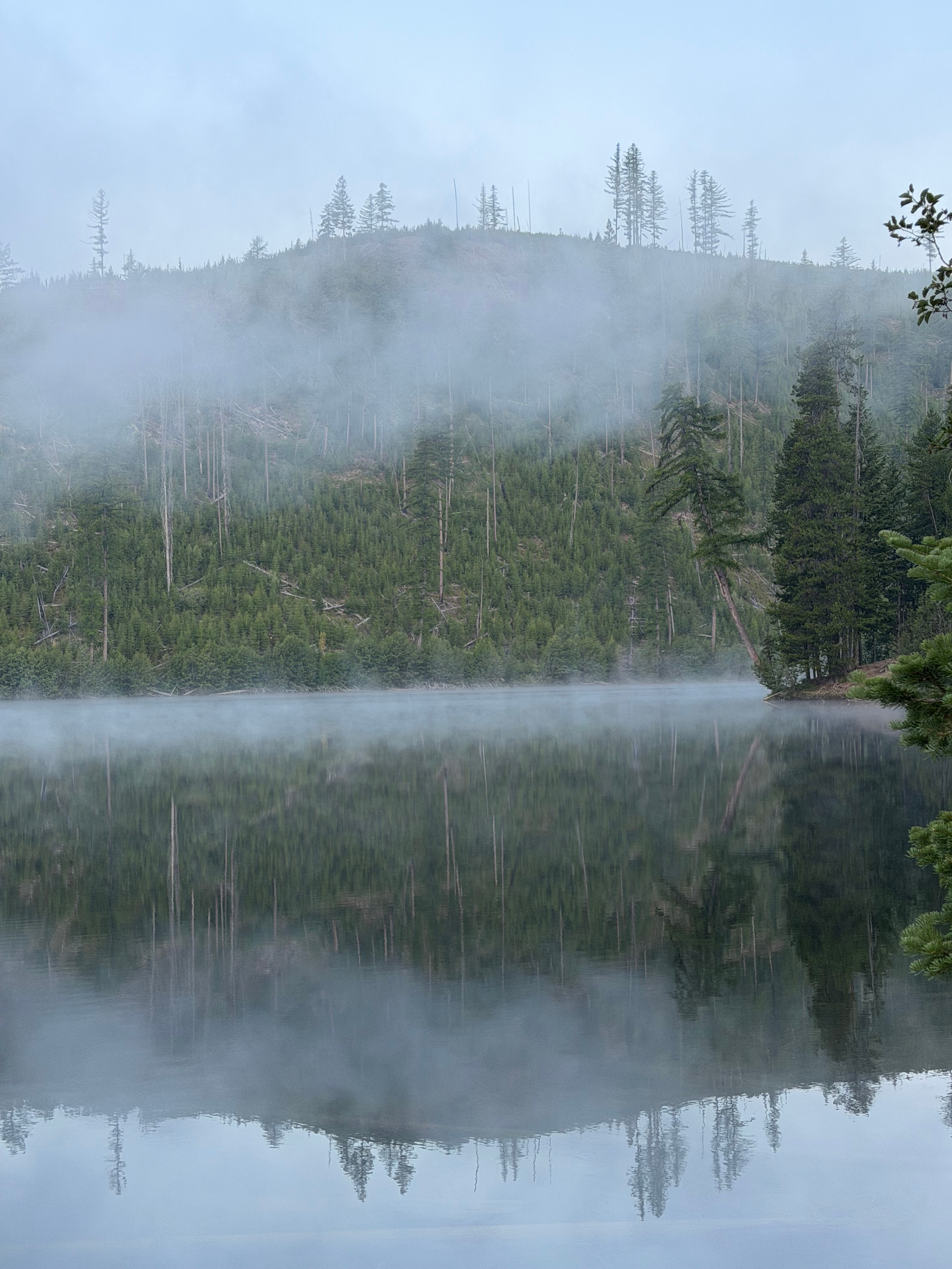 Sylvia Lake Campground