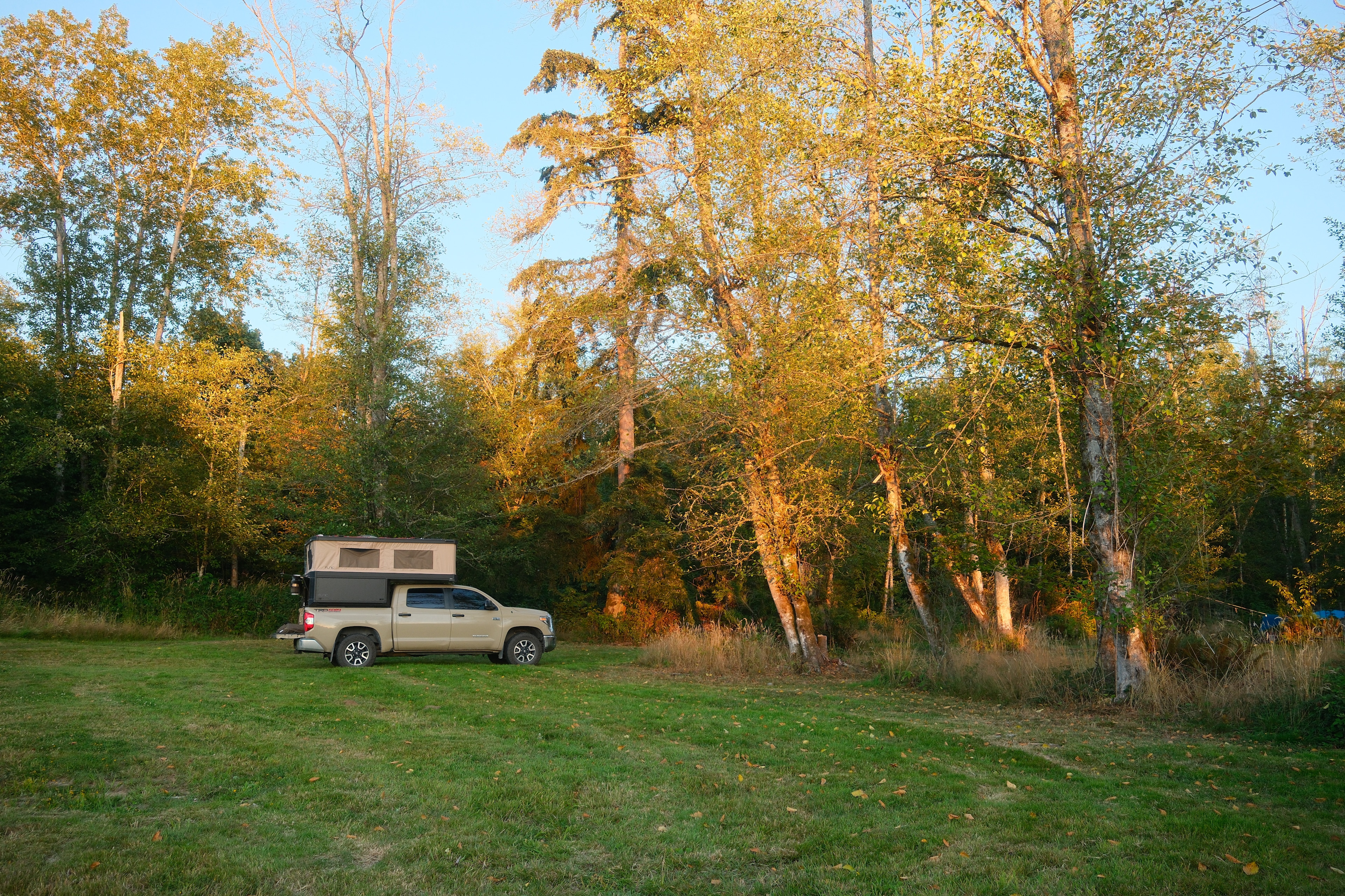site 6