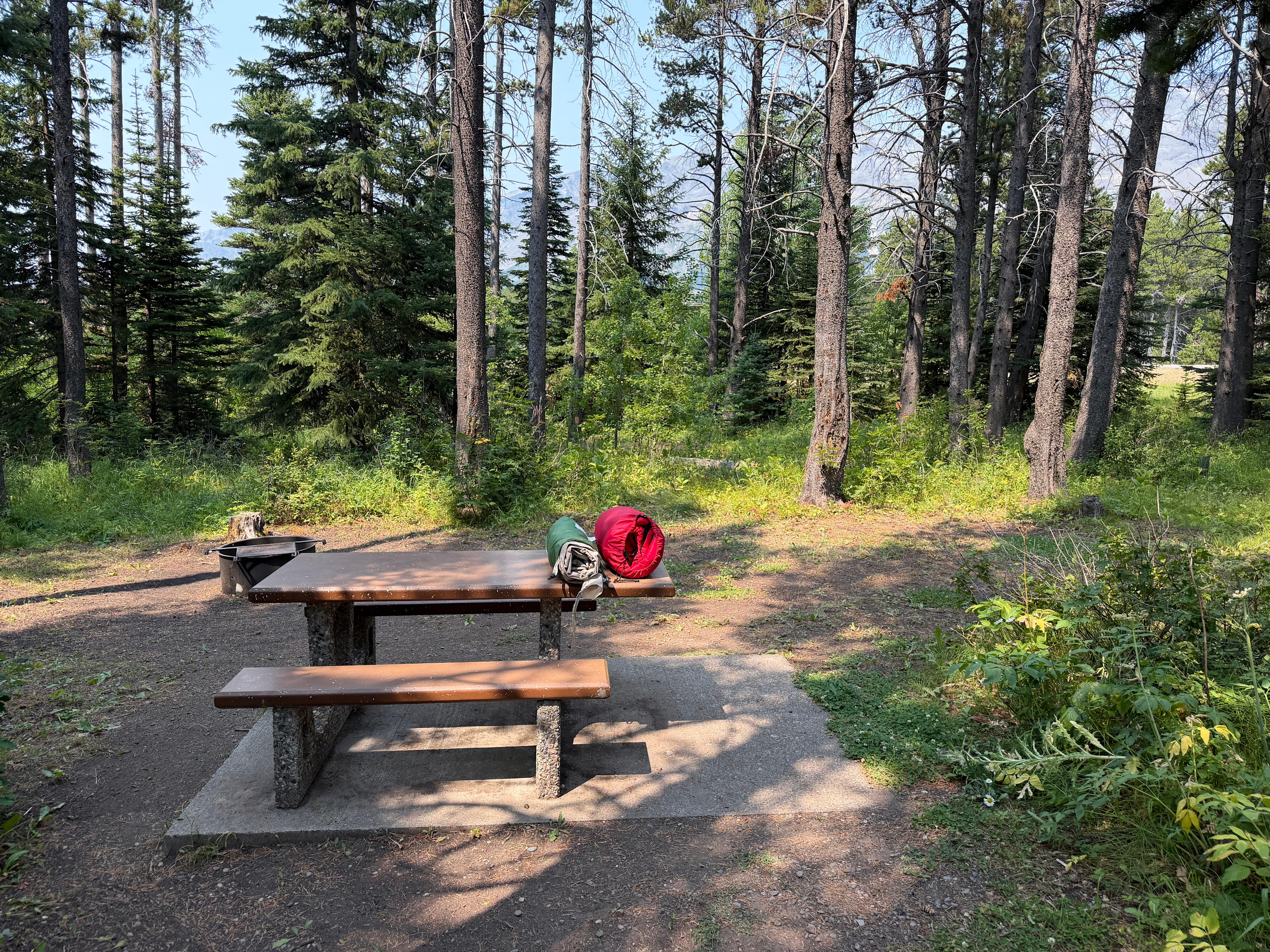 Helena-Lewis and Clark National Forest
