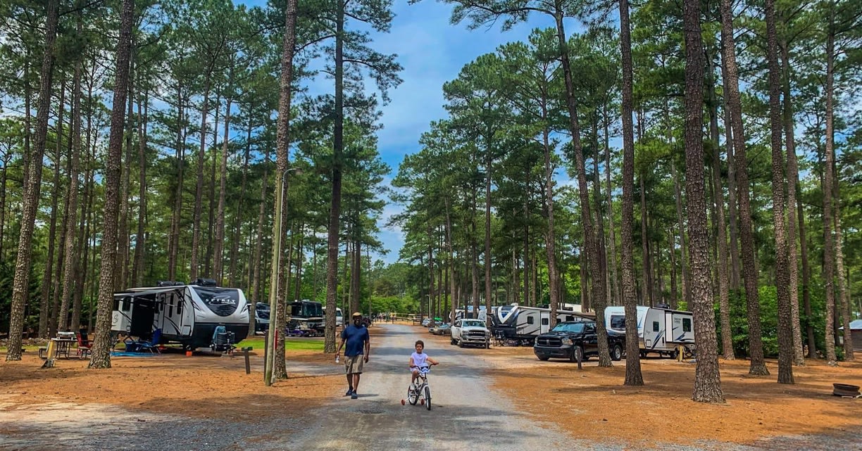 Sycamore Lodge Resort