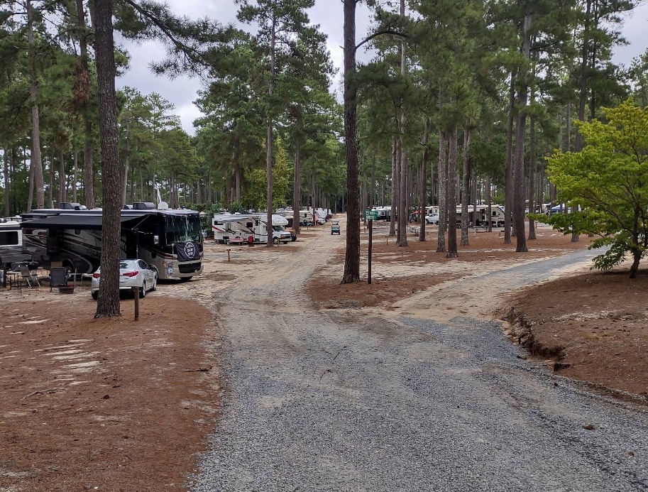Sycamore Lodge Resort