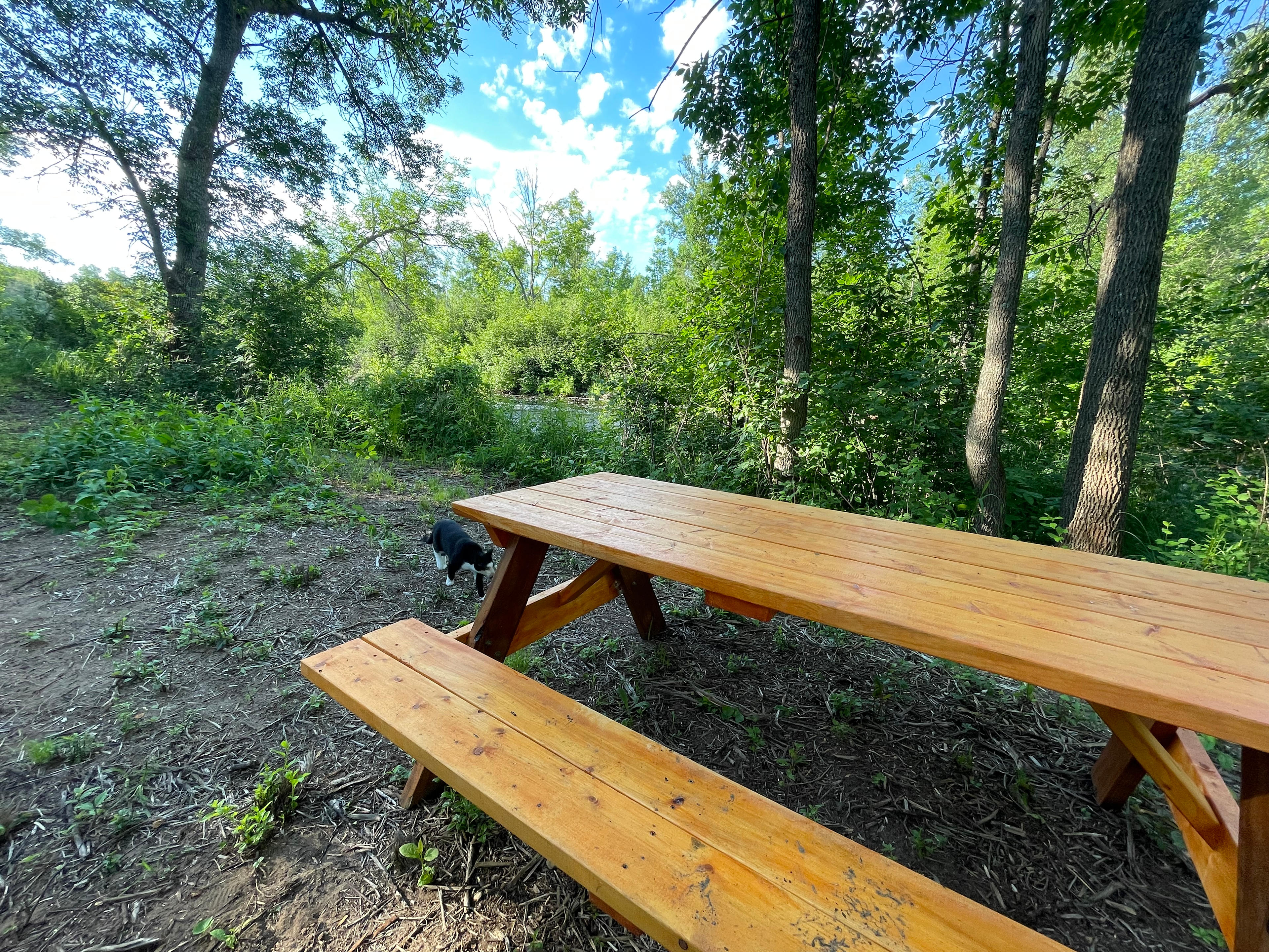 There are picnic tables at each of the 4 campsites, and this one also out beside the river 