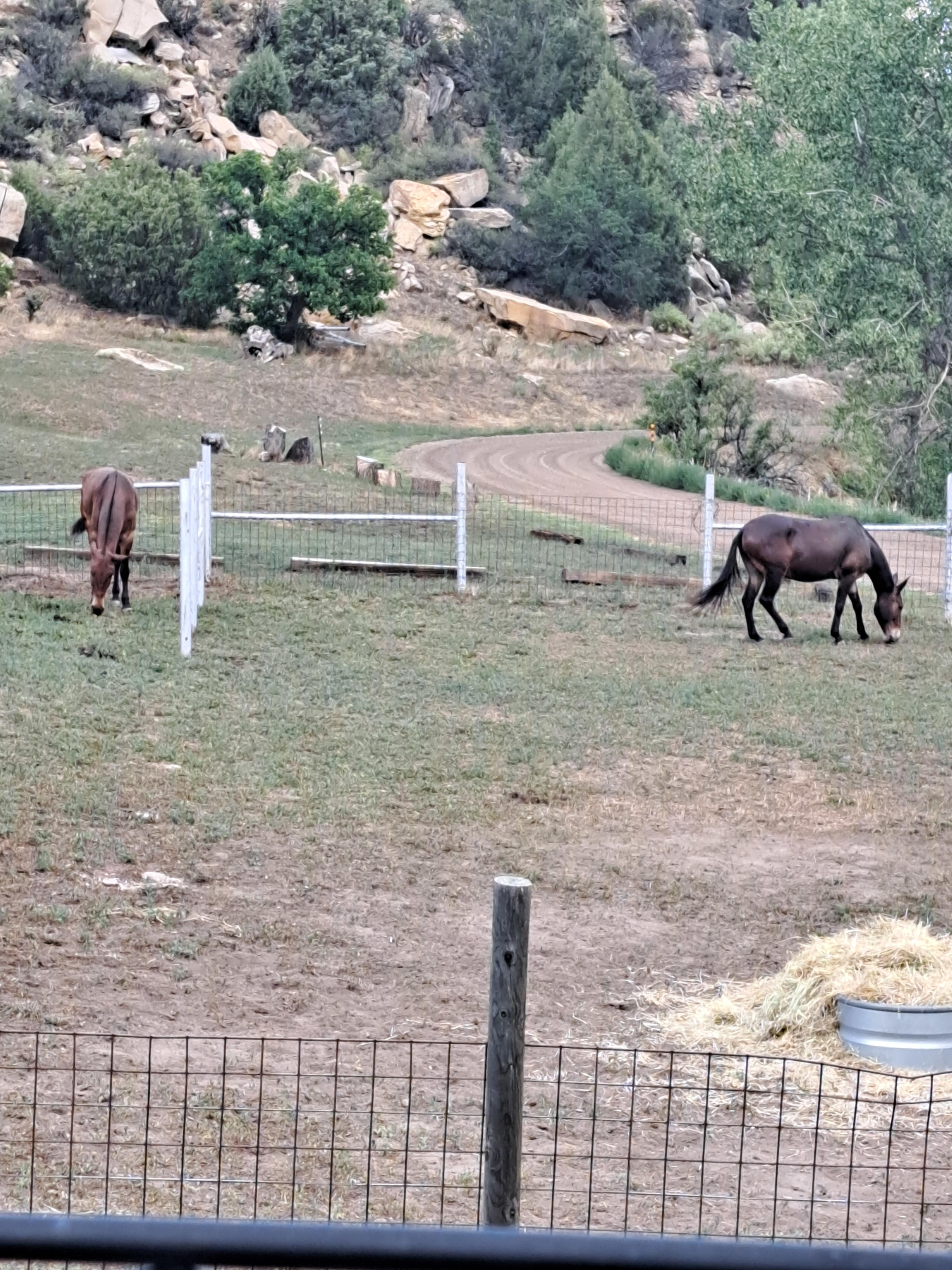 Beautiful Chicosa Canyon 2 and Horse Hotel