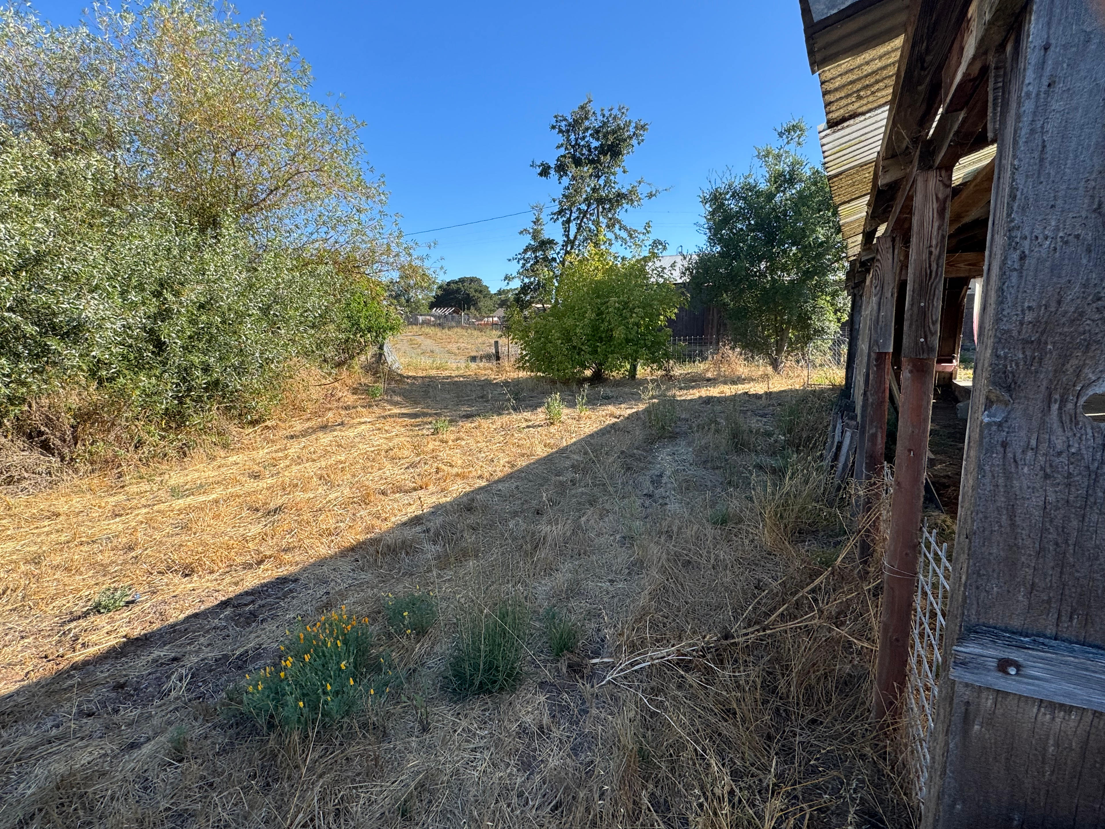 Windrift Farms