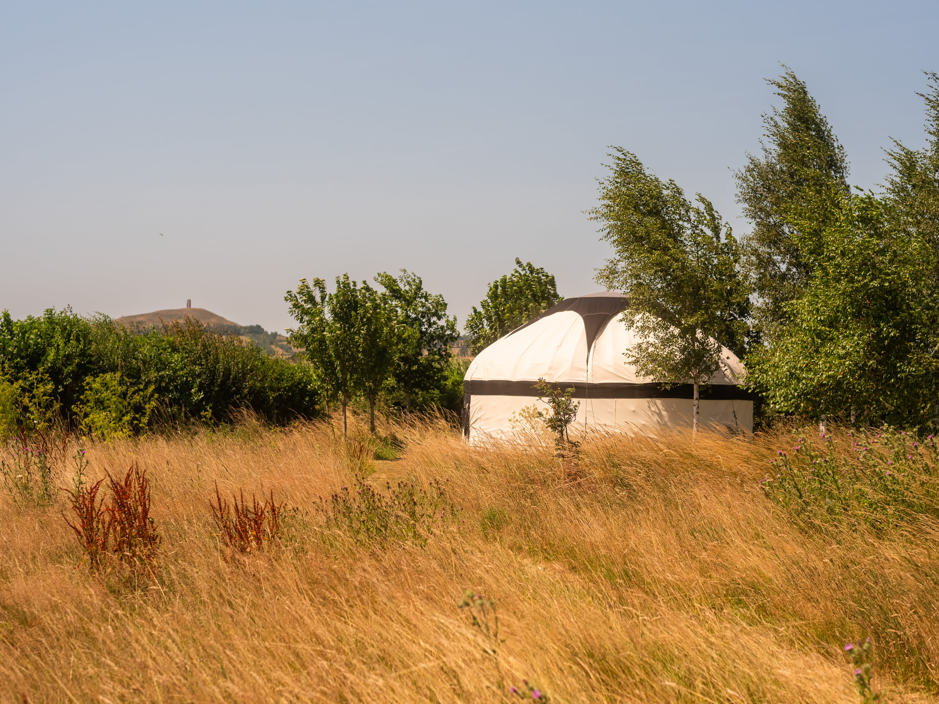 Glastonbury Wild Glamping