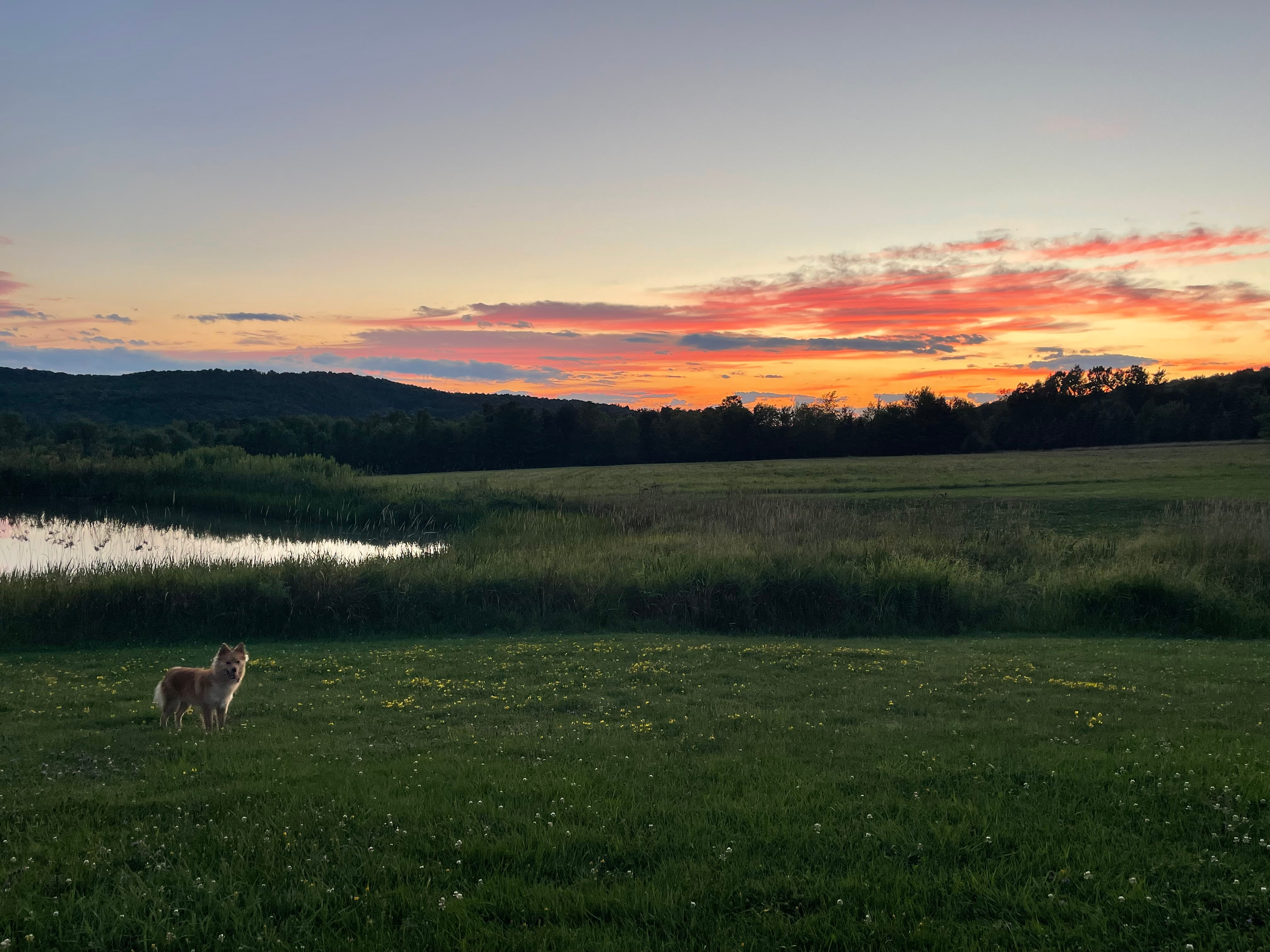 Greenbush Farm