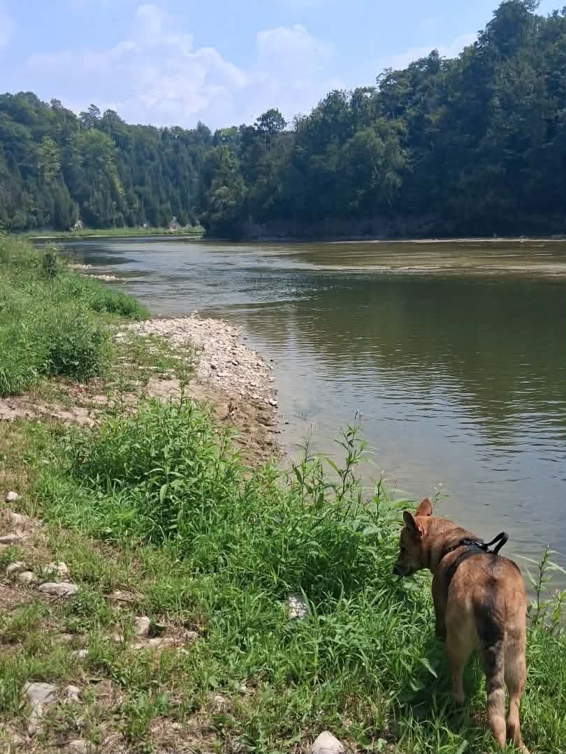 River Rock Eco-Camp
