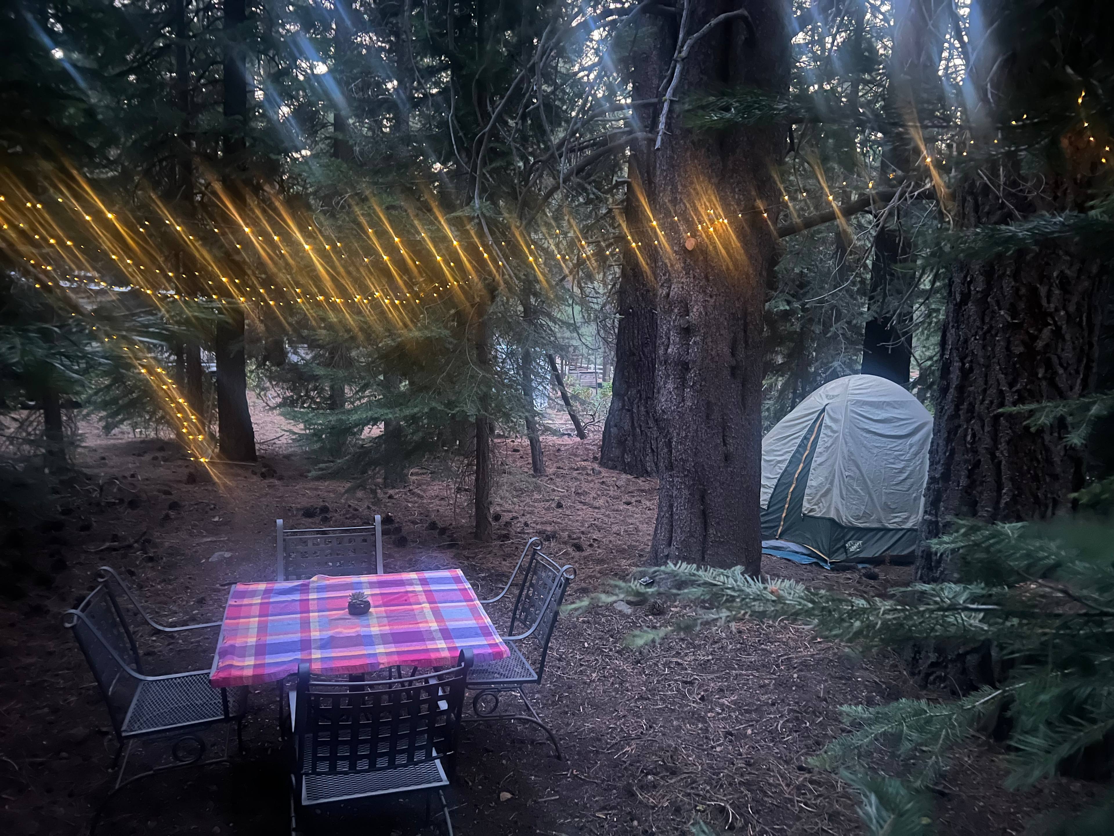 Alder Camp