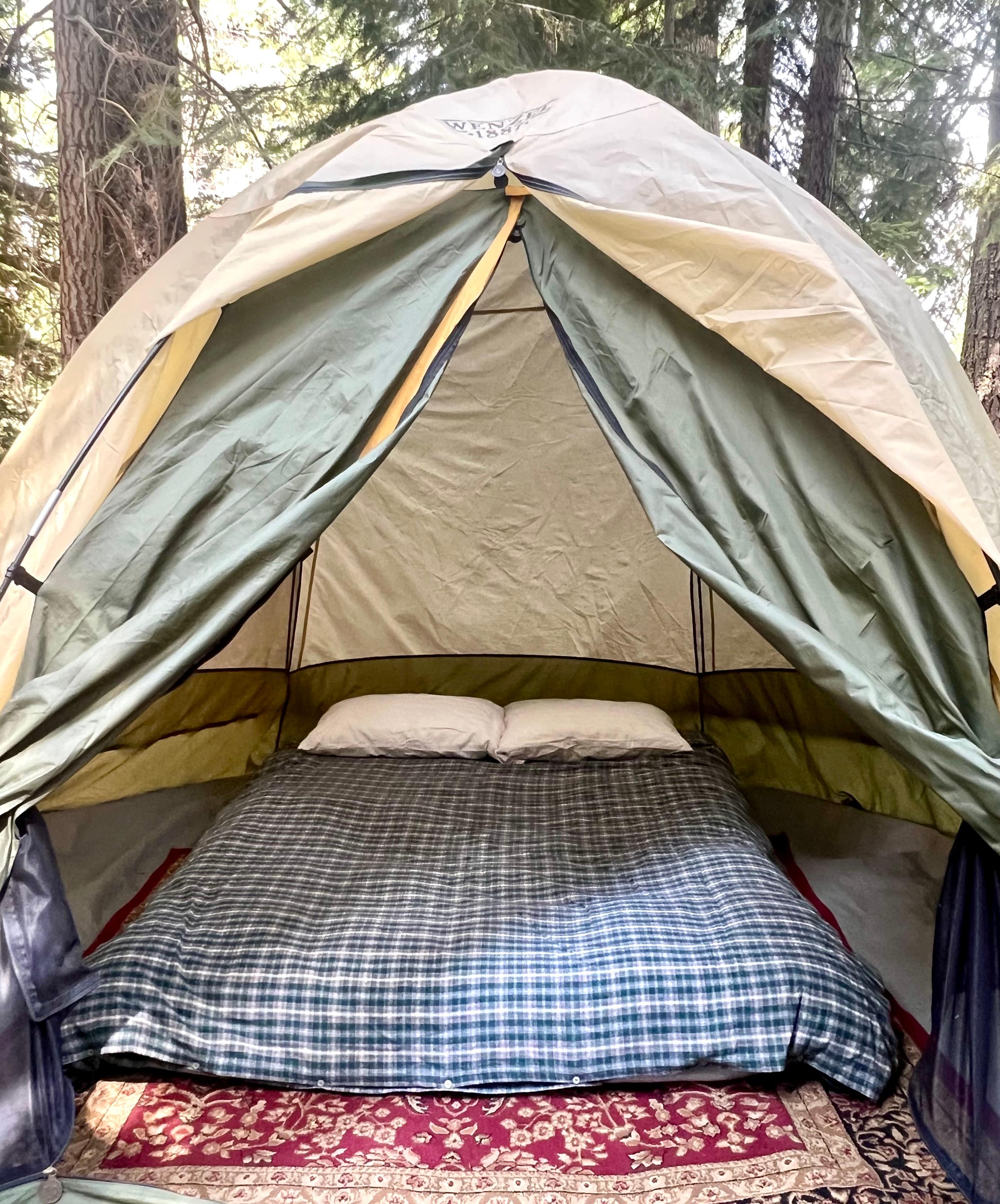 Alder Camp