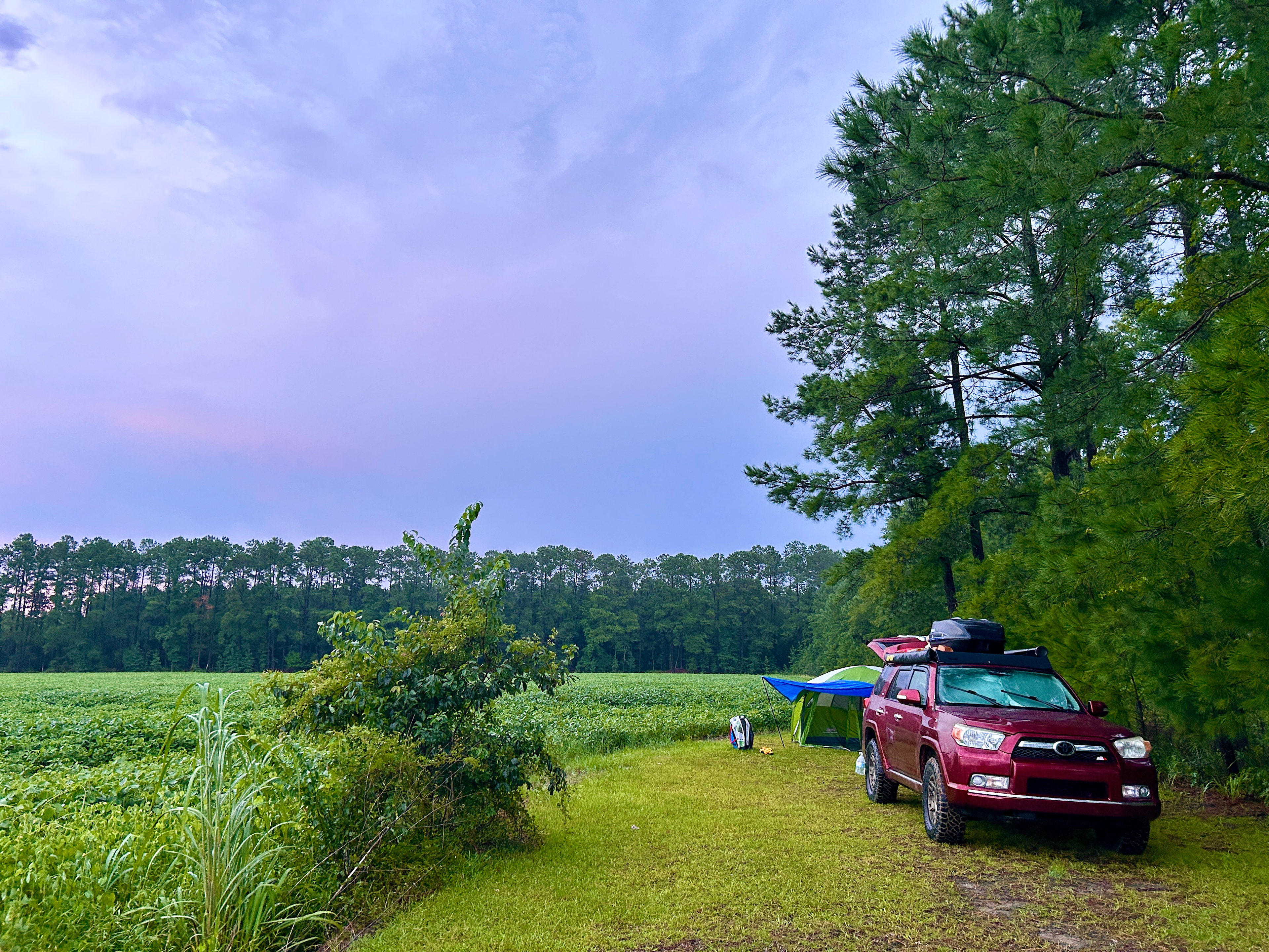 Farmland Overlook