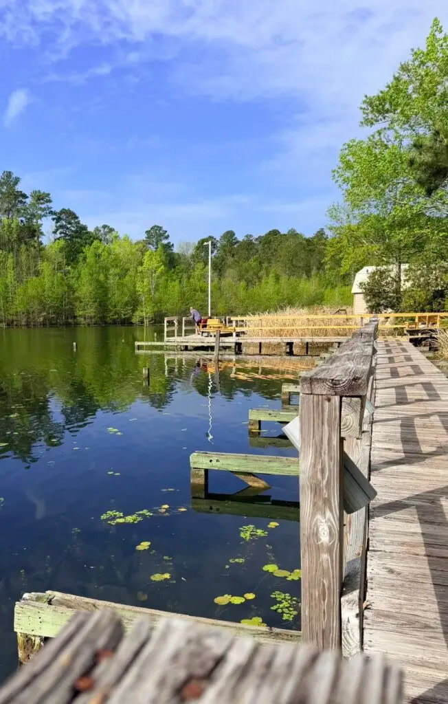 Unhitched Lake Moultrie RV Park