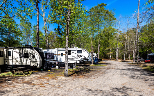 Unhitched Lake Moultrie RV Park