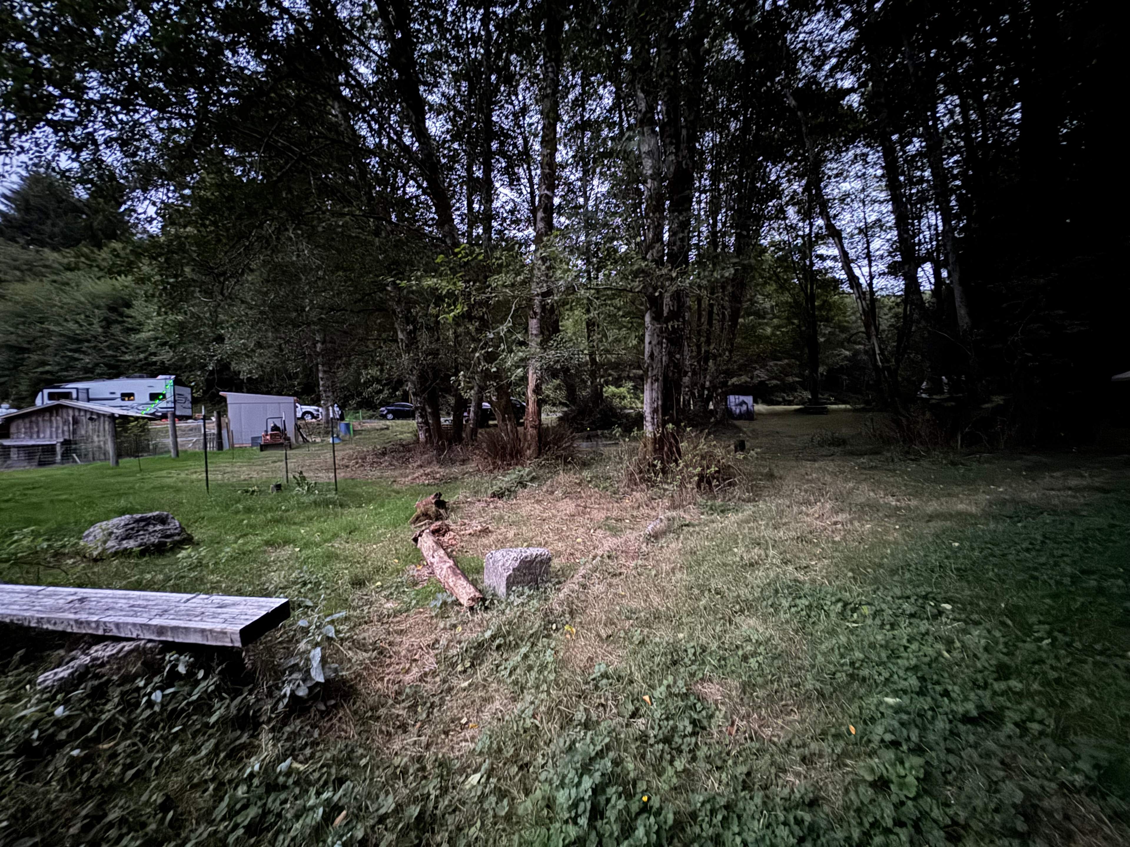 Our Goats Allow Camping