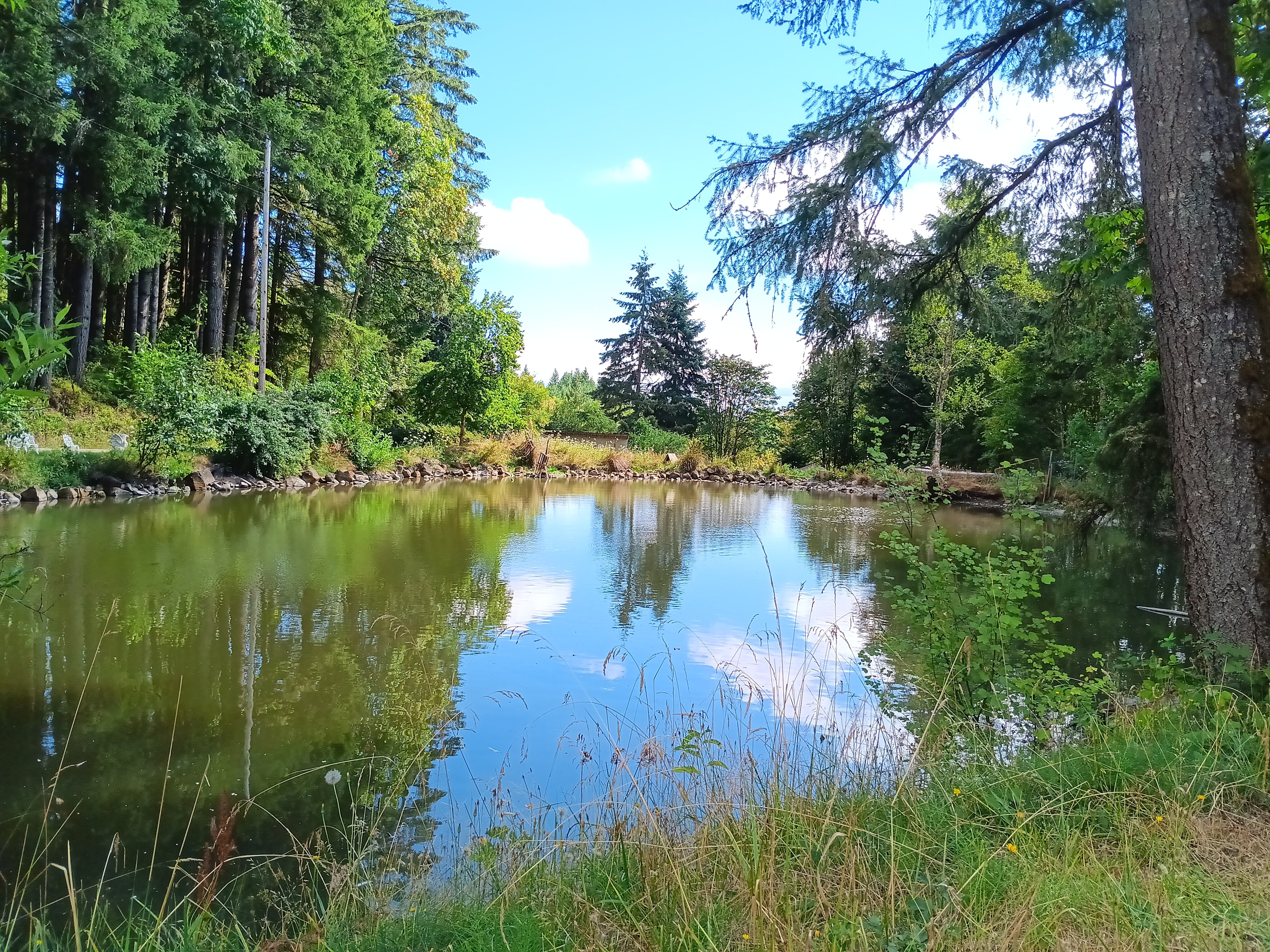 Right by picnic table and lounge chairs.