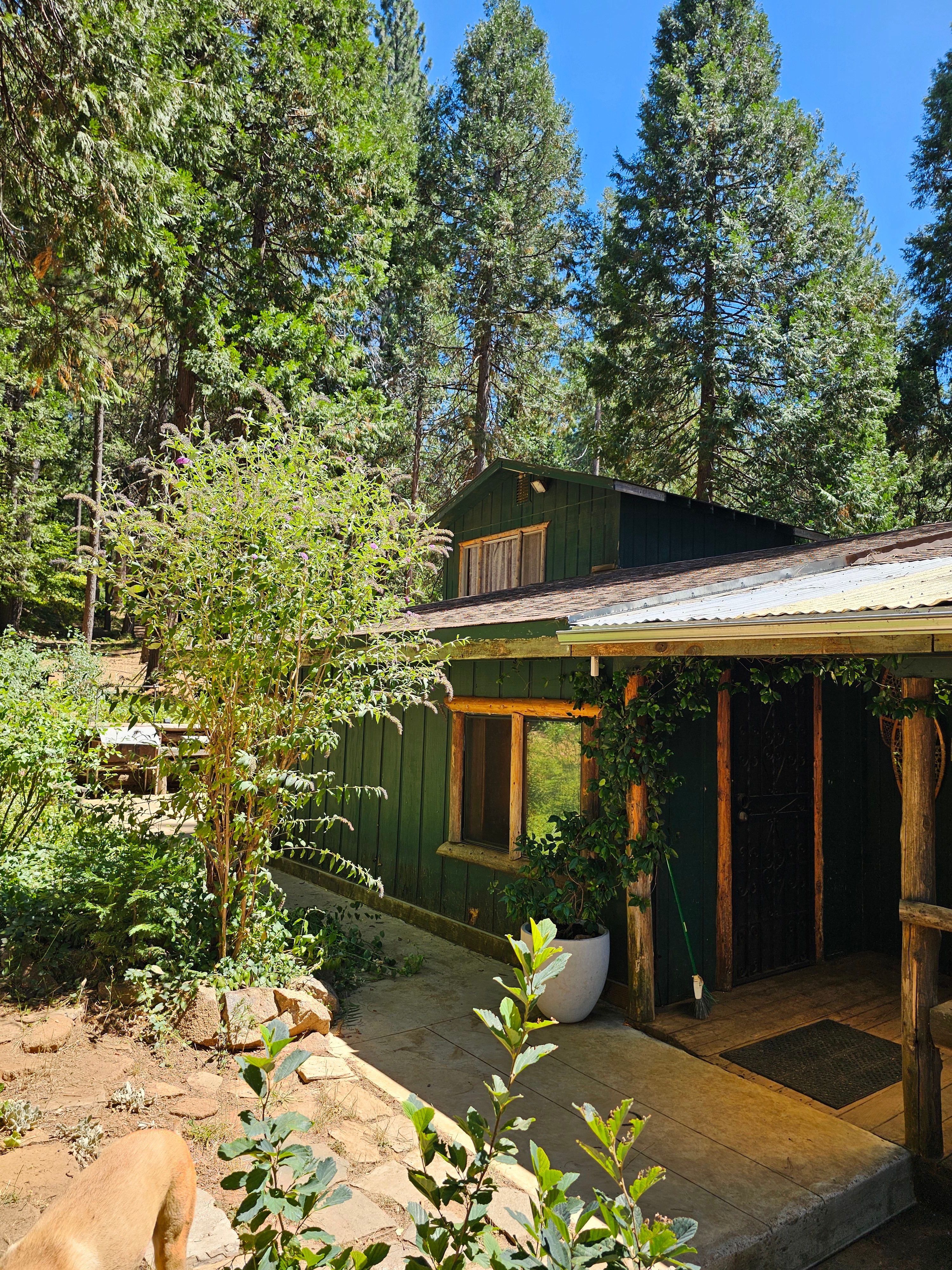 Sierra Basecamp