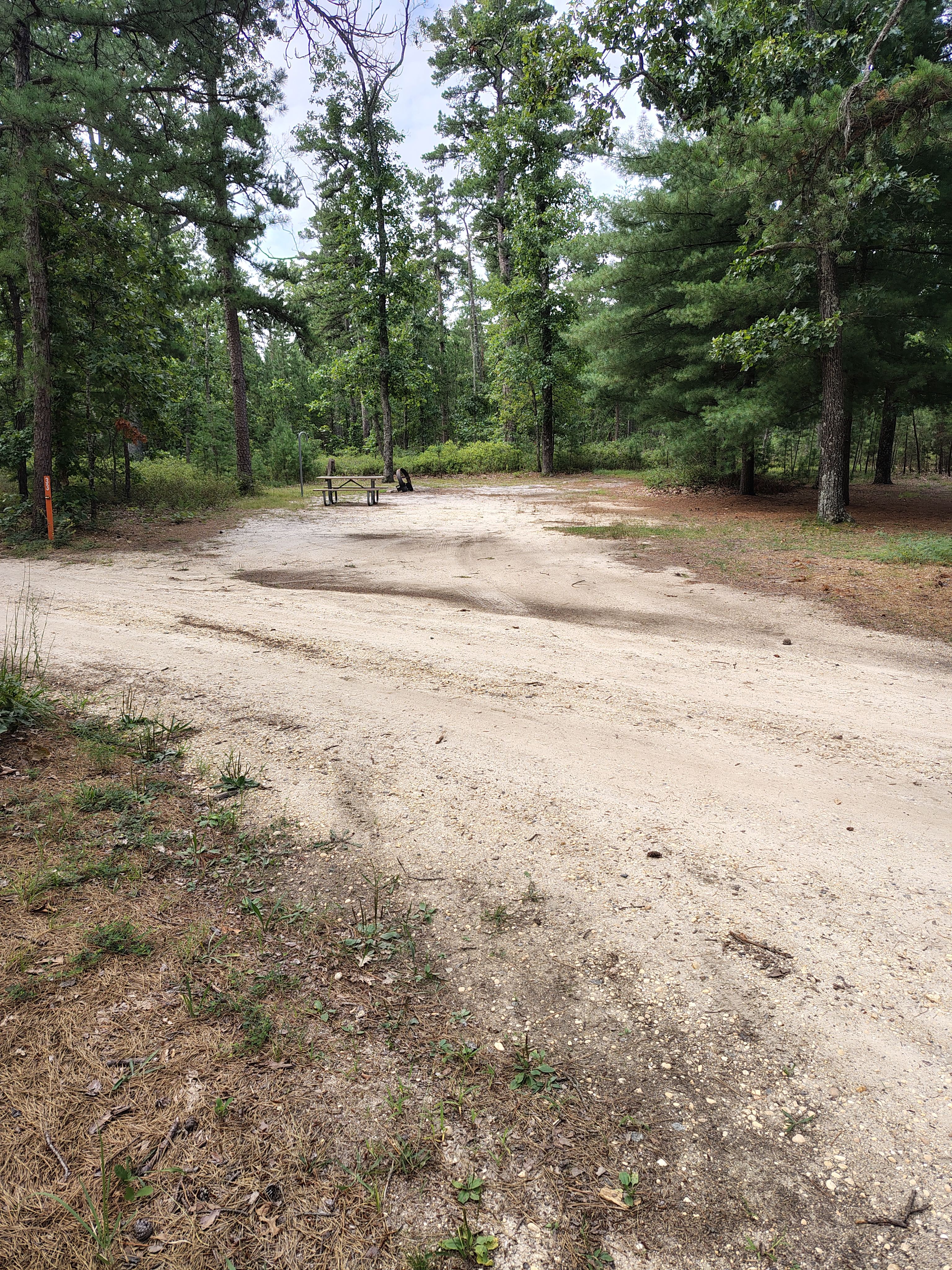 Brendan T. Byrne State Forest