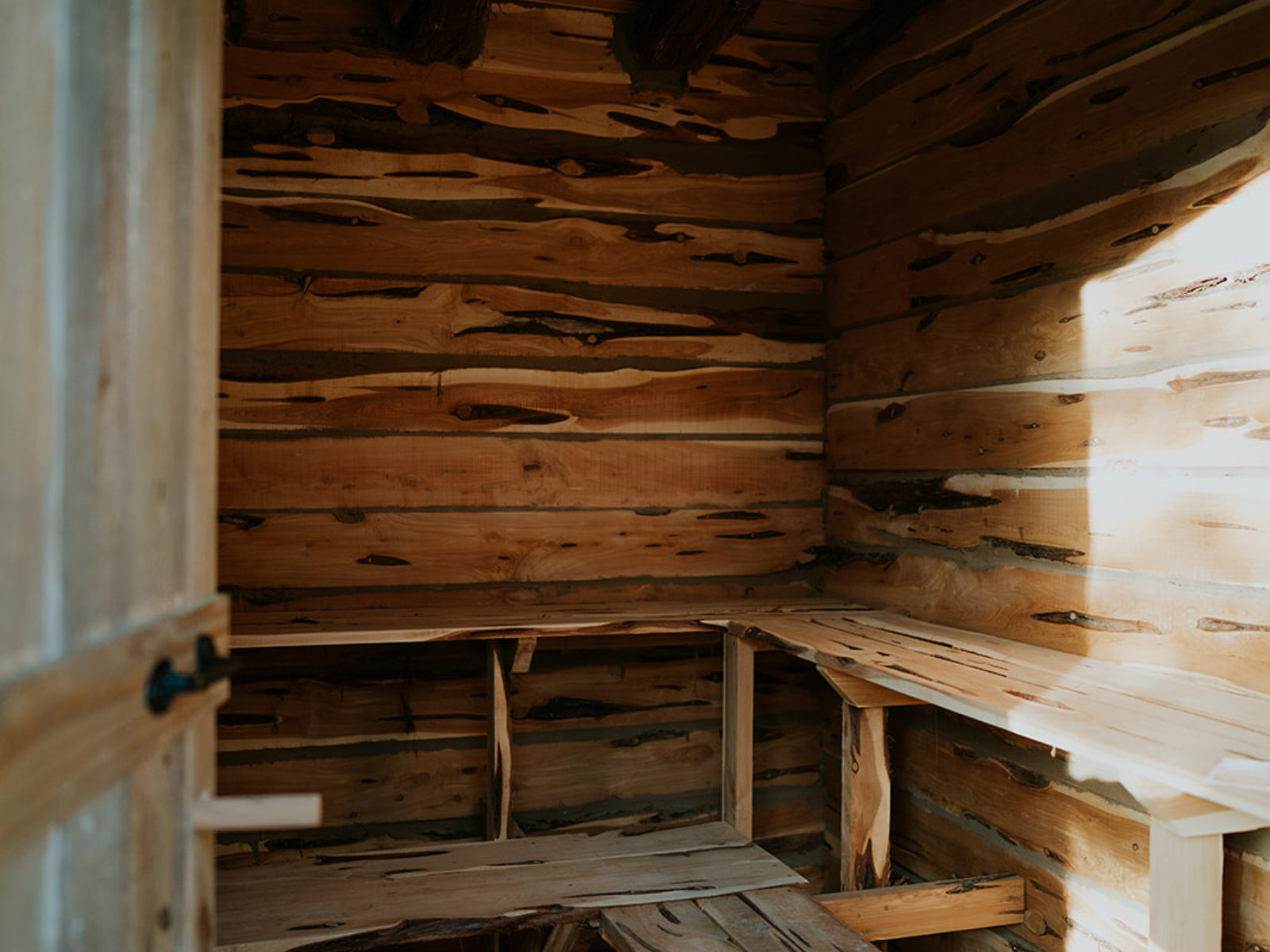 The Charmadillo: Nature Retreat