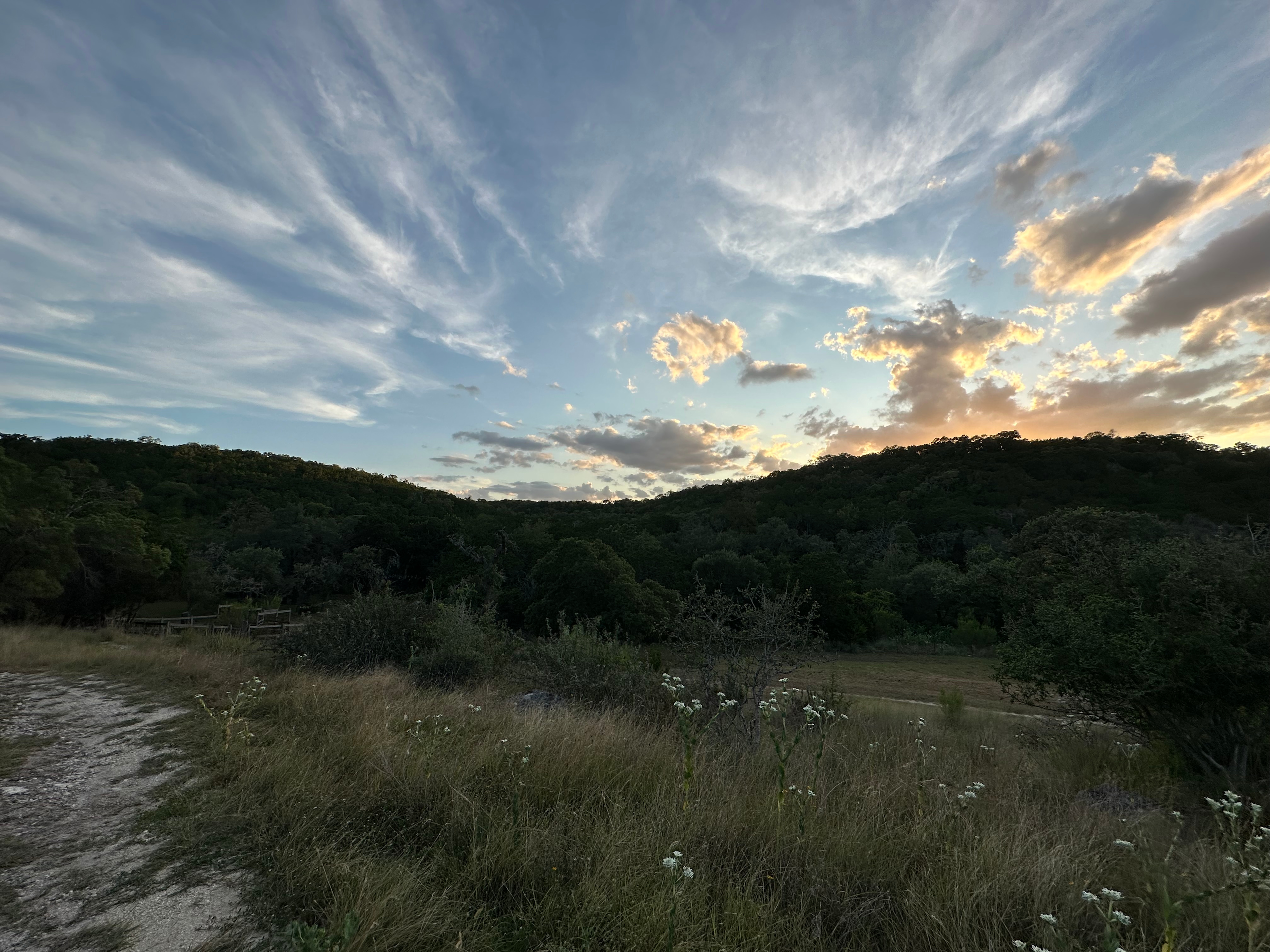 The Charmadillo: Nature Retreat