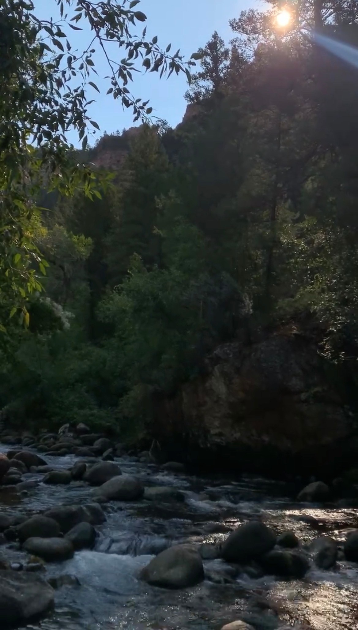 Leigh Creek Campground