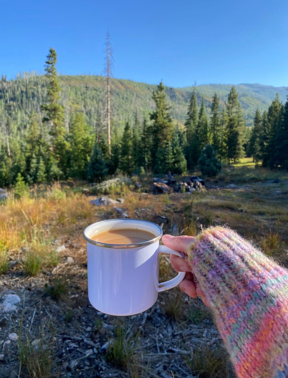 Seedhouse Group Campground