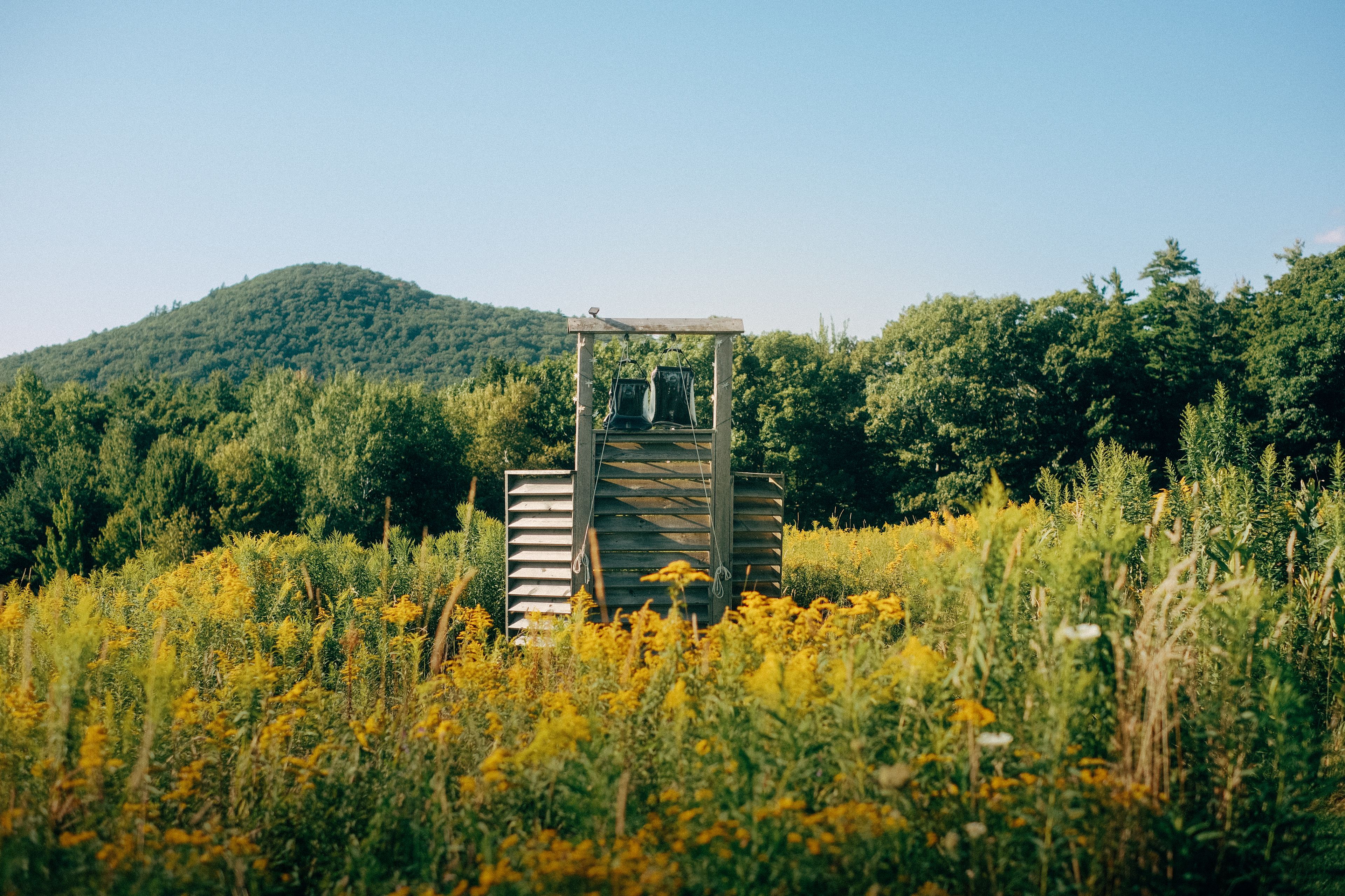 Coy Mountain Camp