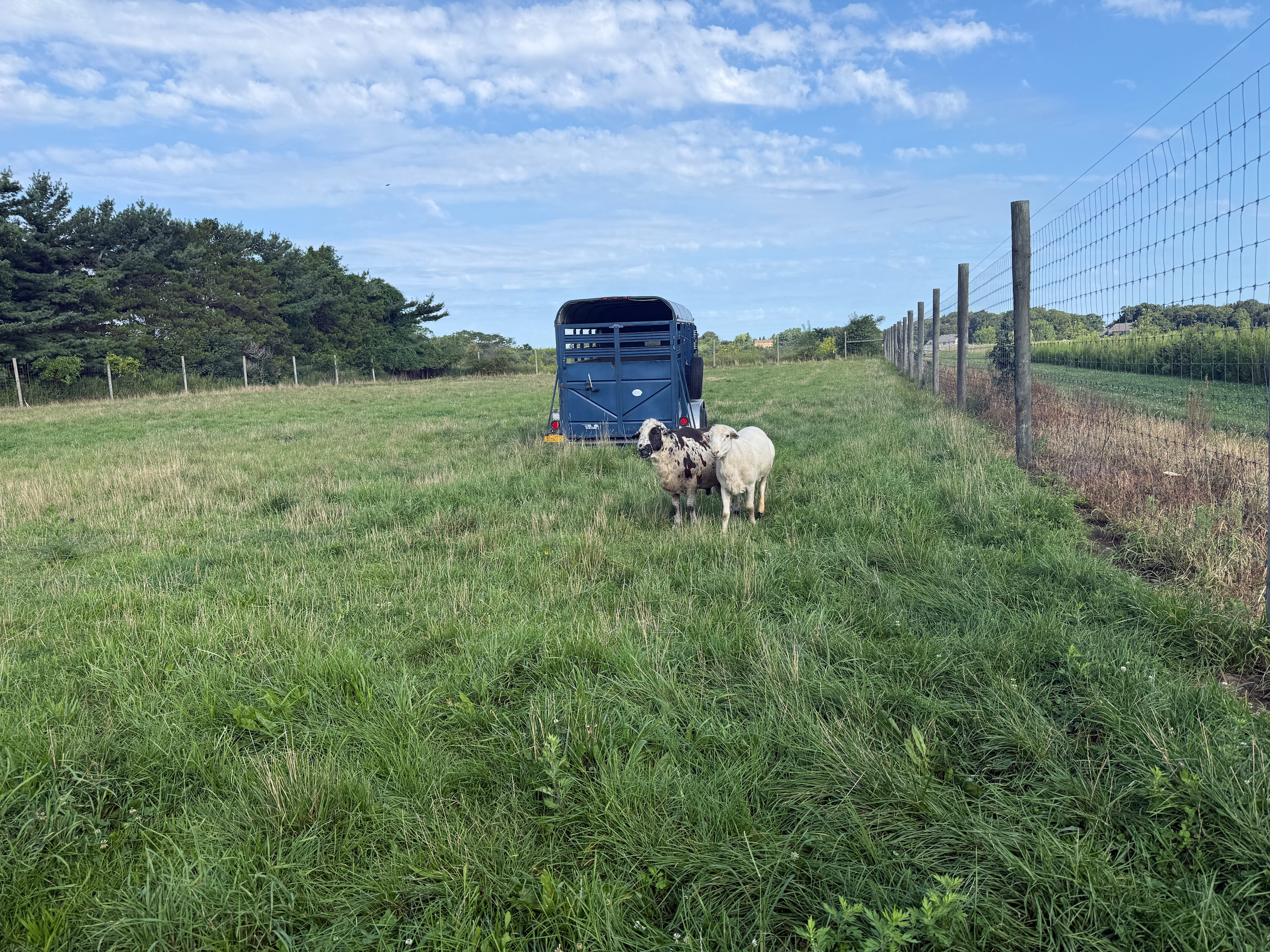 Harvest Moon Farm