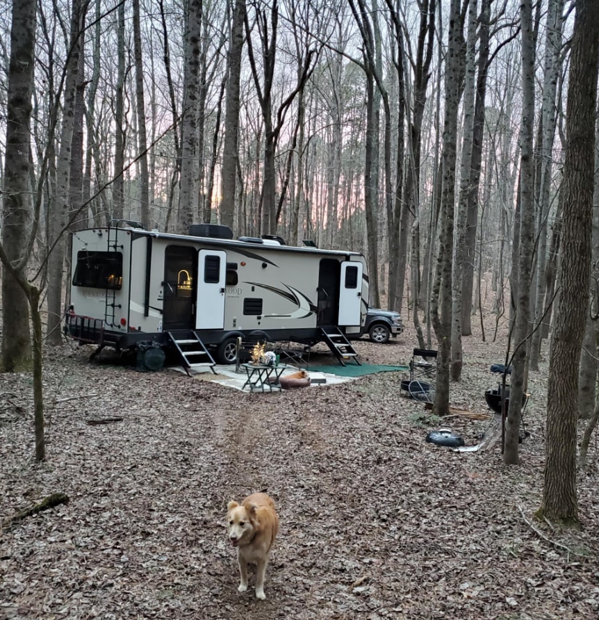Shady Pines