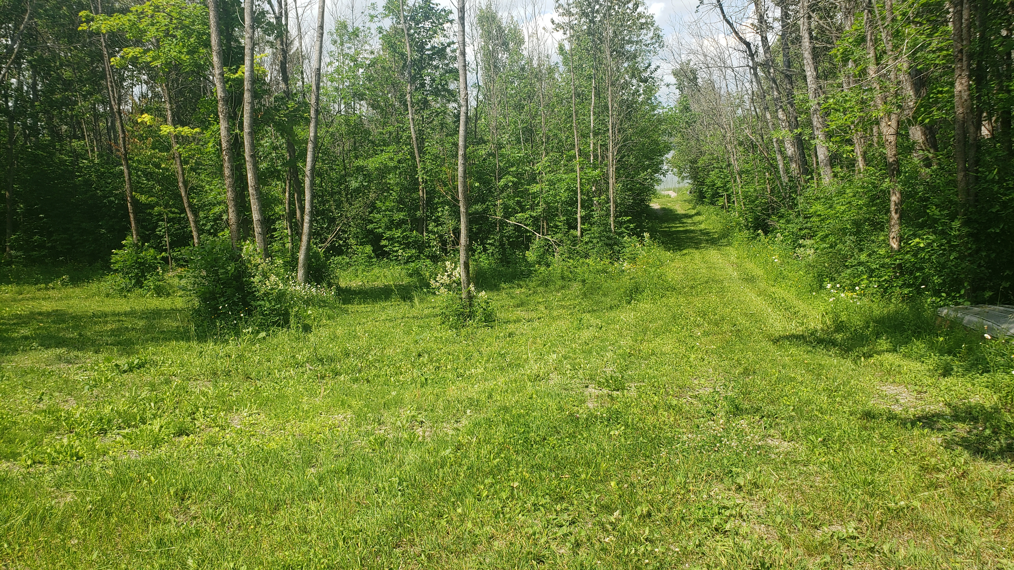 Gordon Lake Getaway