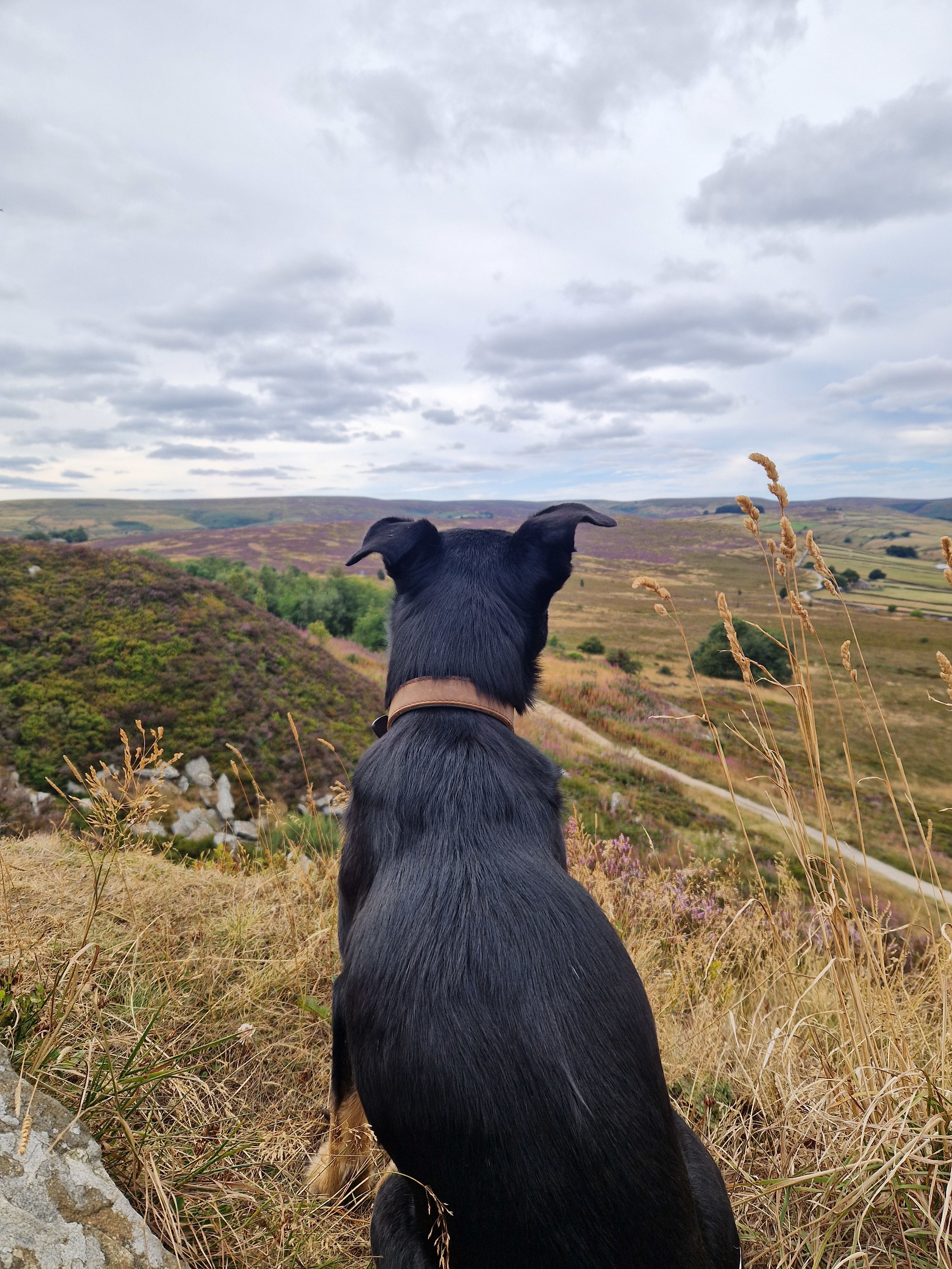 View of the moors at Haworth