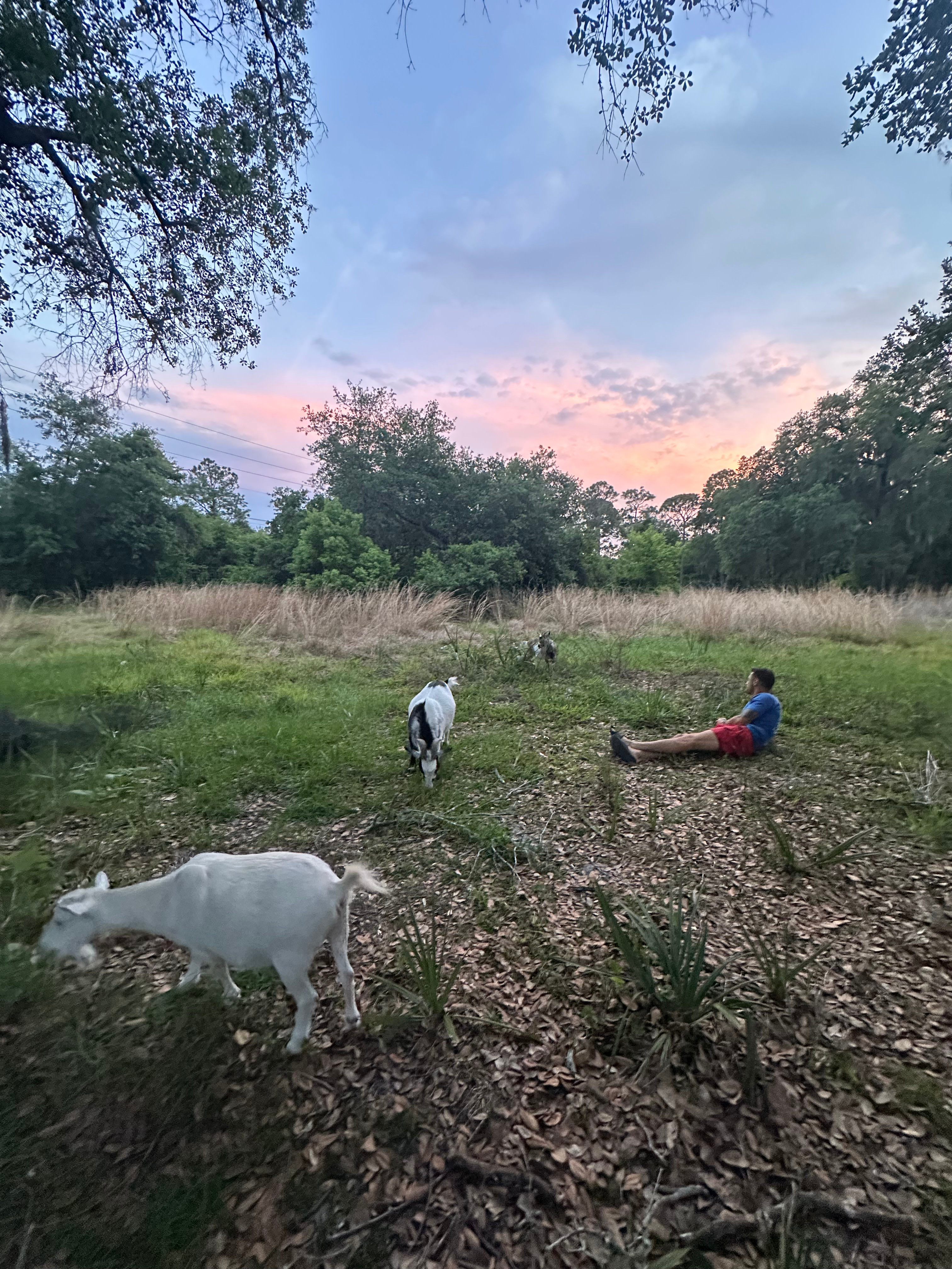 Private Farm RV Camping Near New Smyrna Beach
