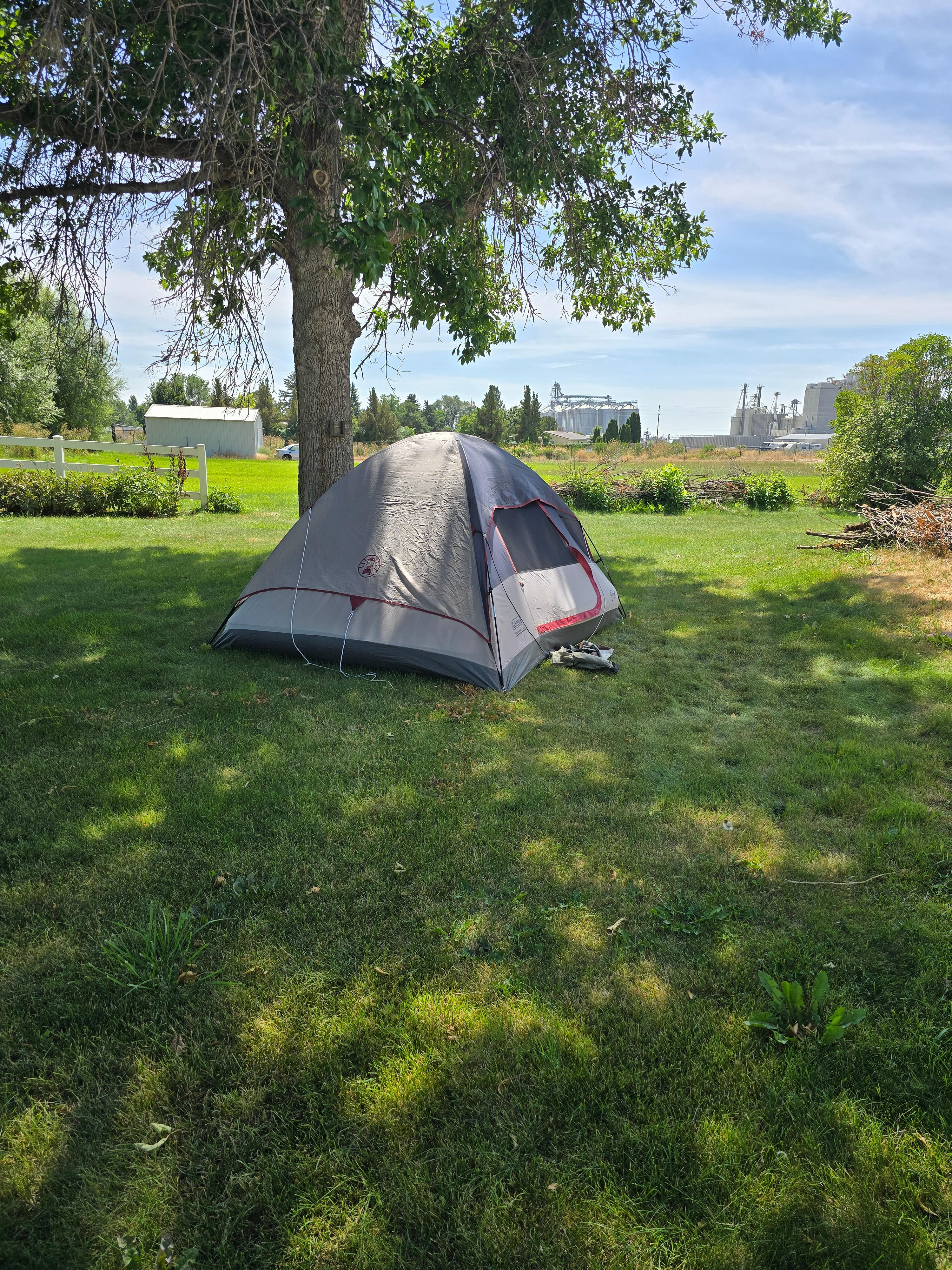 Little Homestead