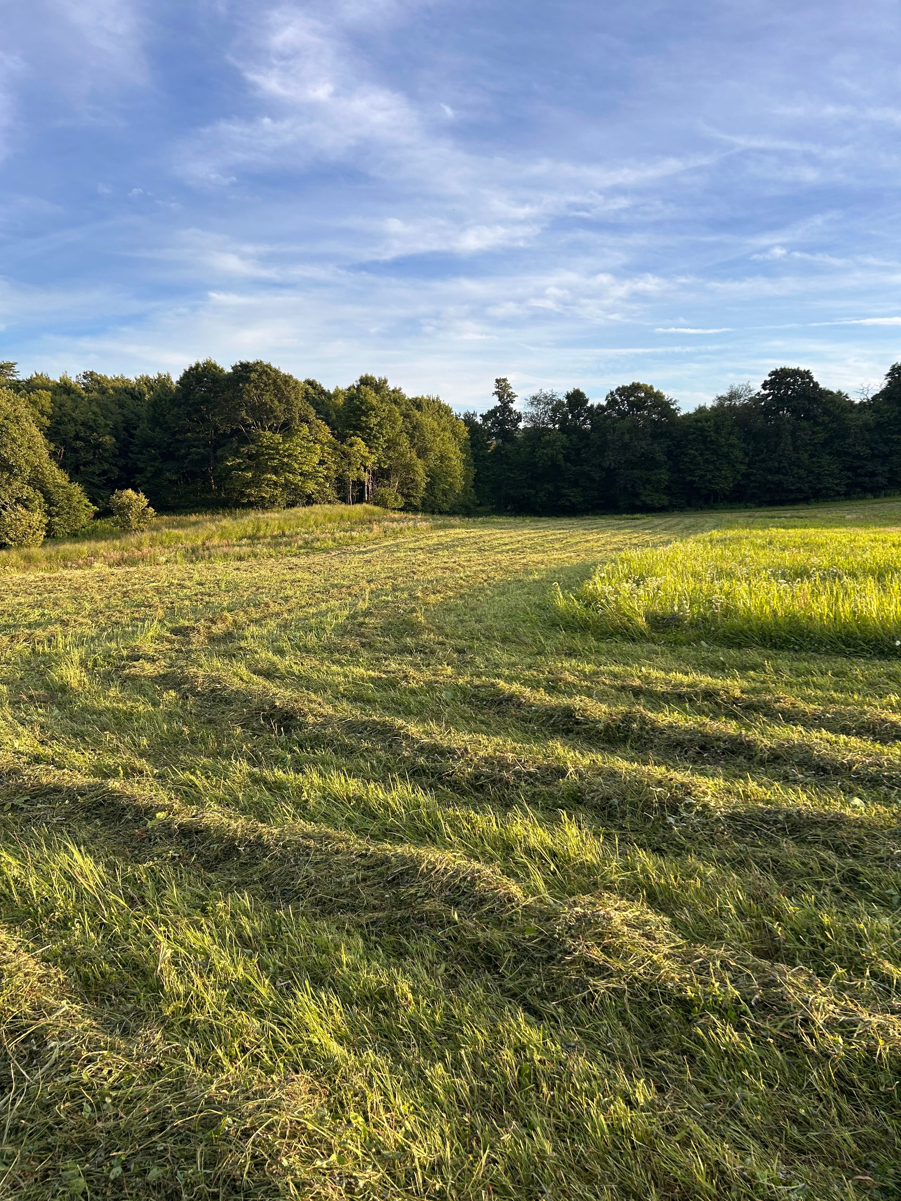 Groaning Spoke Meadows