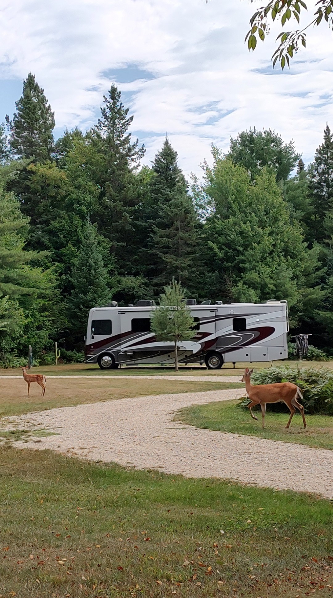 High Swamp Camp (Camping/Retreats)