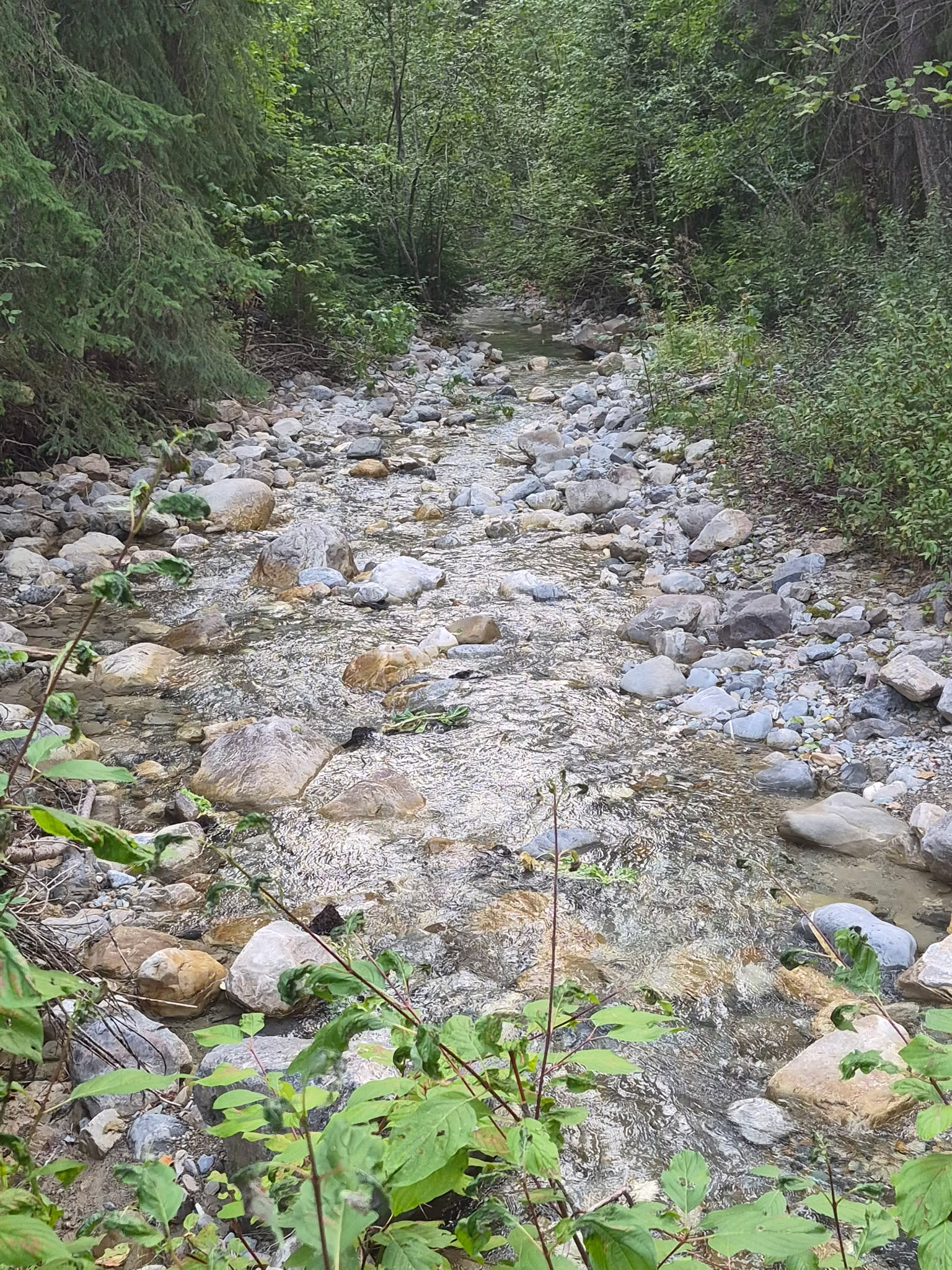Barber On The Creek