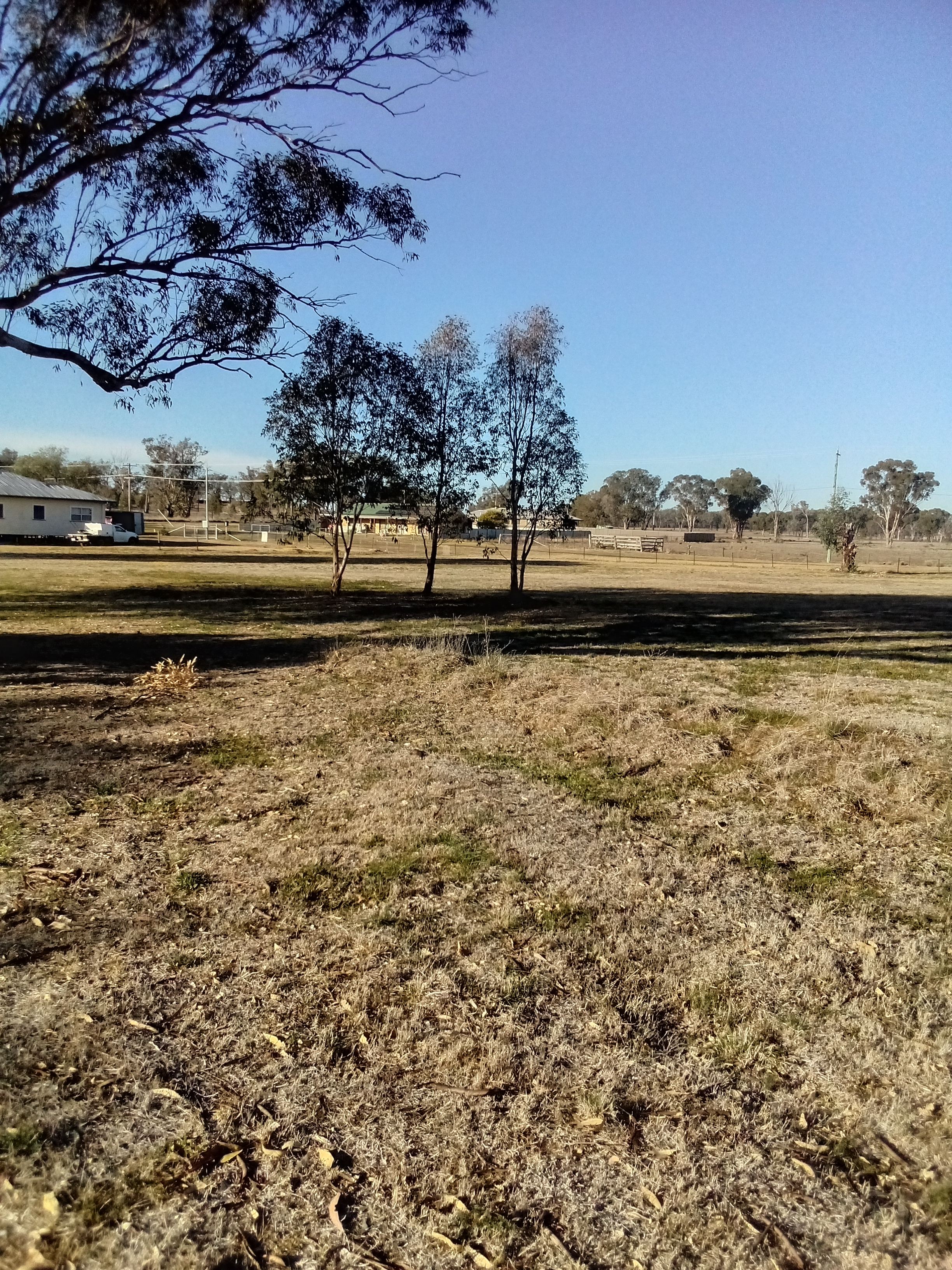 Ashford camping