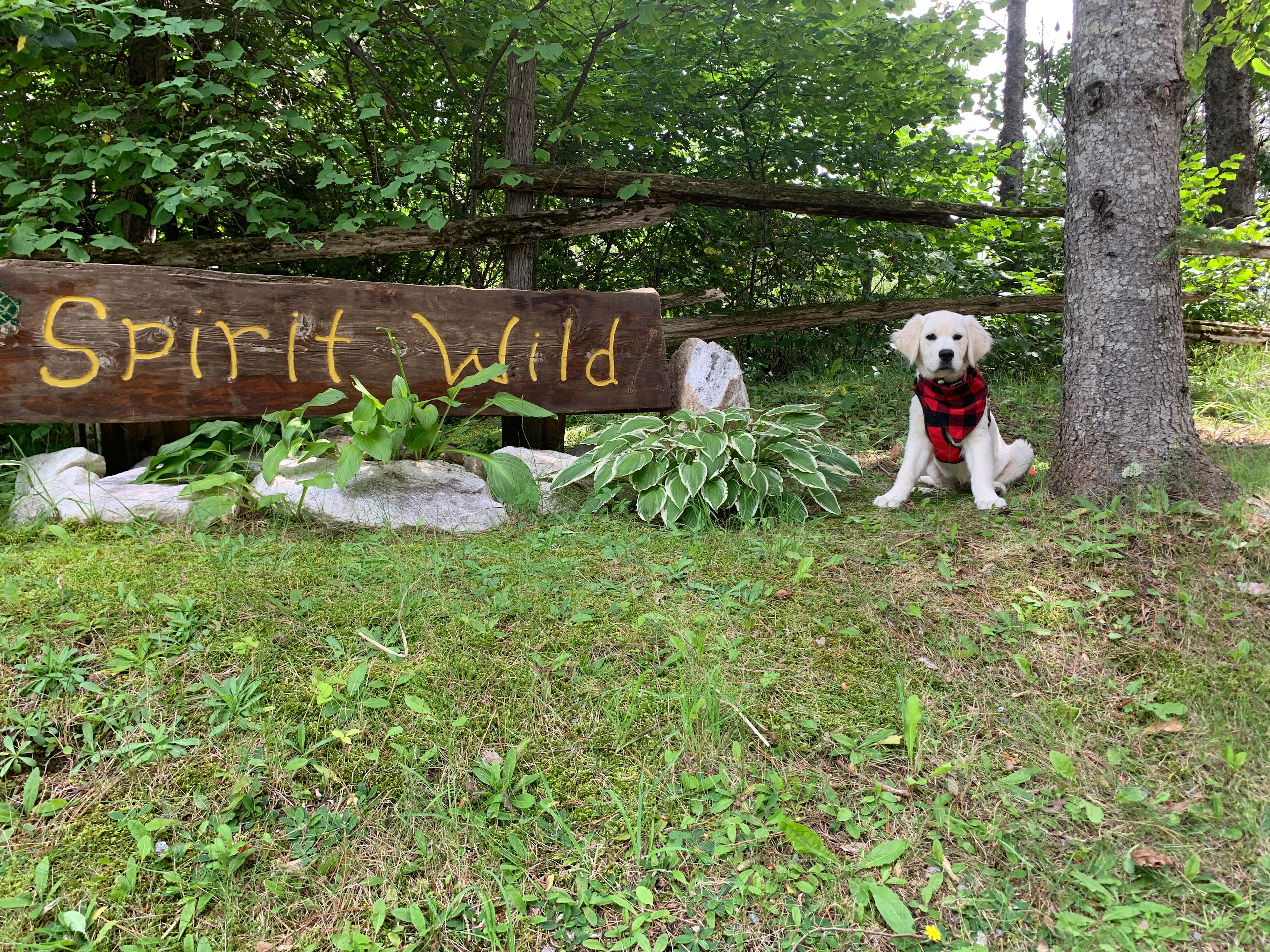 Spirit Wild Estate