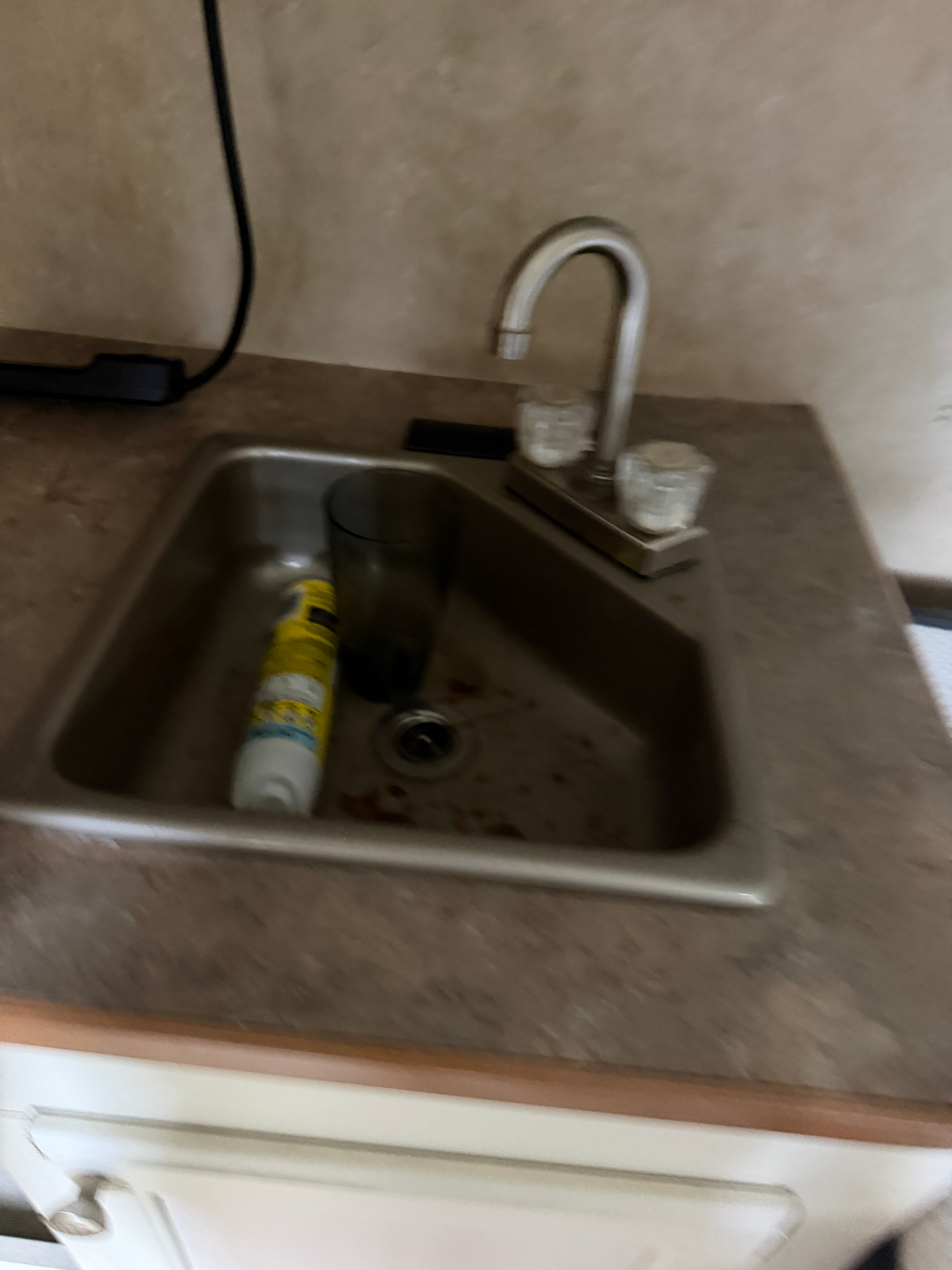 The black mold in the sink