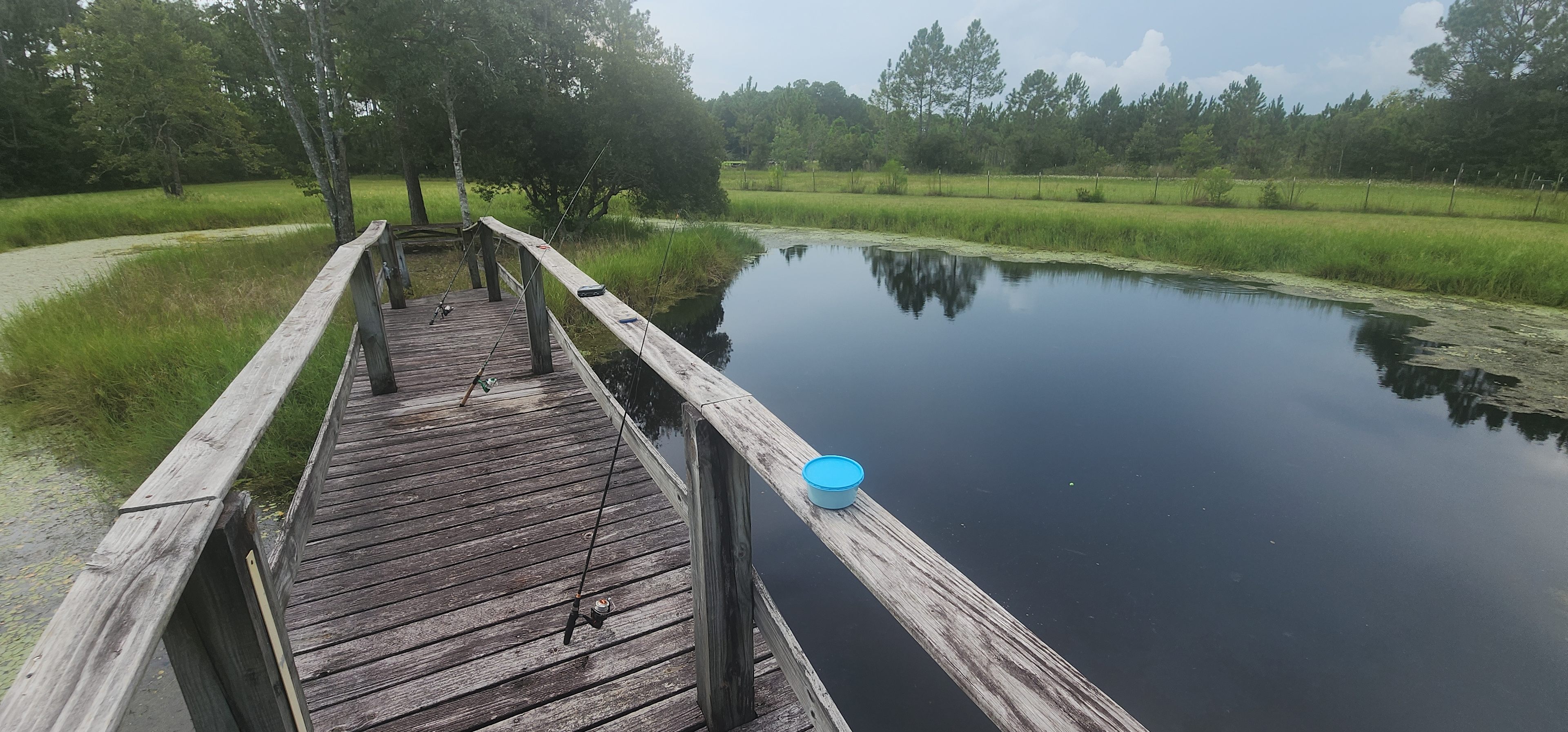 Stocked with Bass, Catfish, Bluegill!
