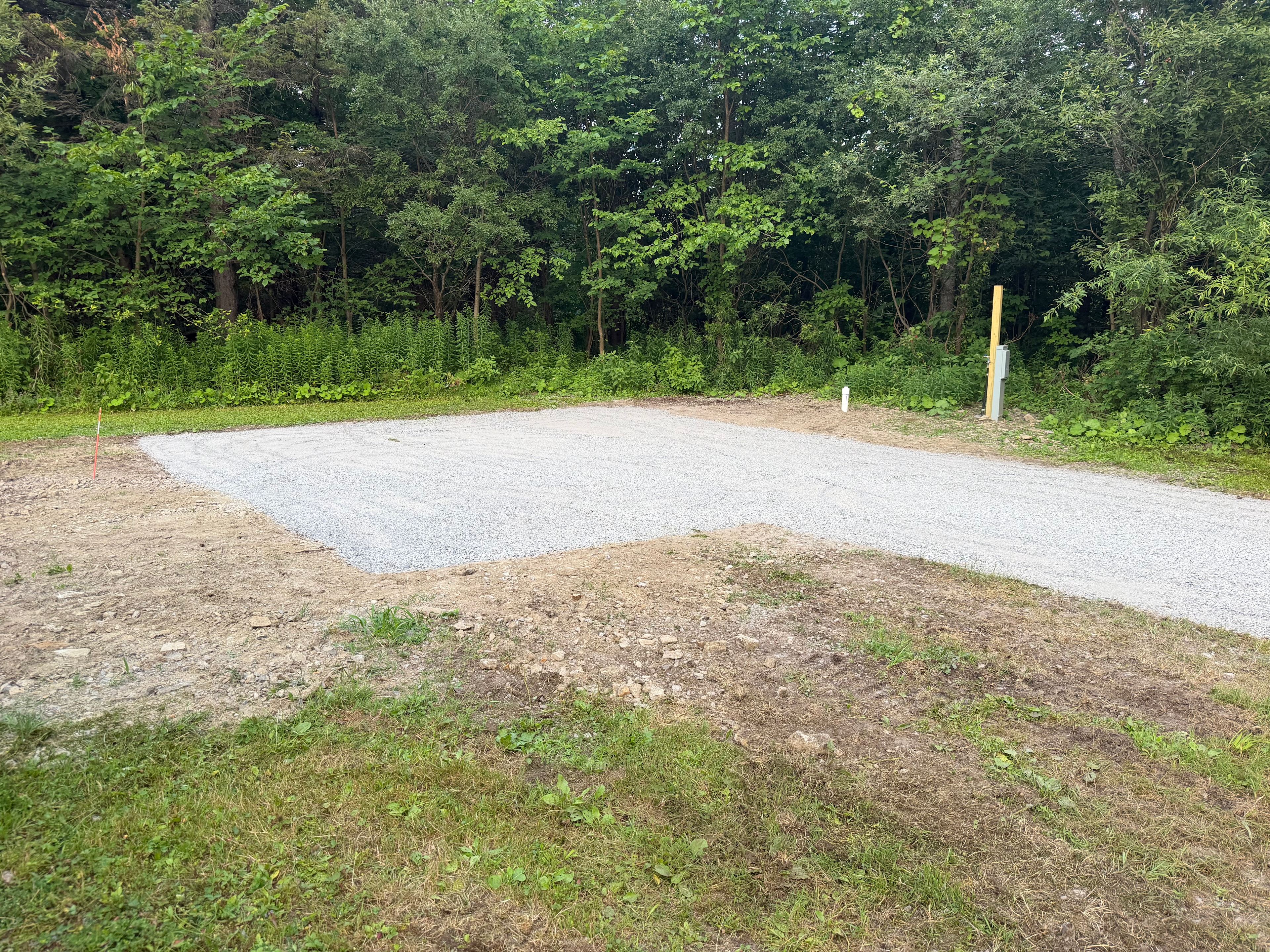 Tug Hill Pines