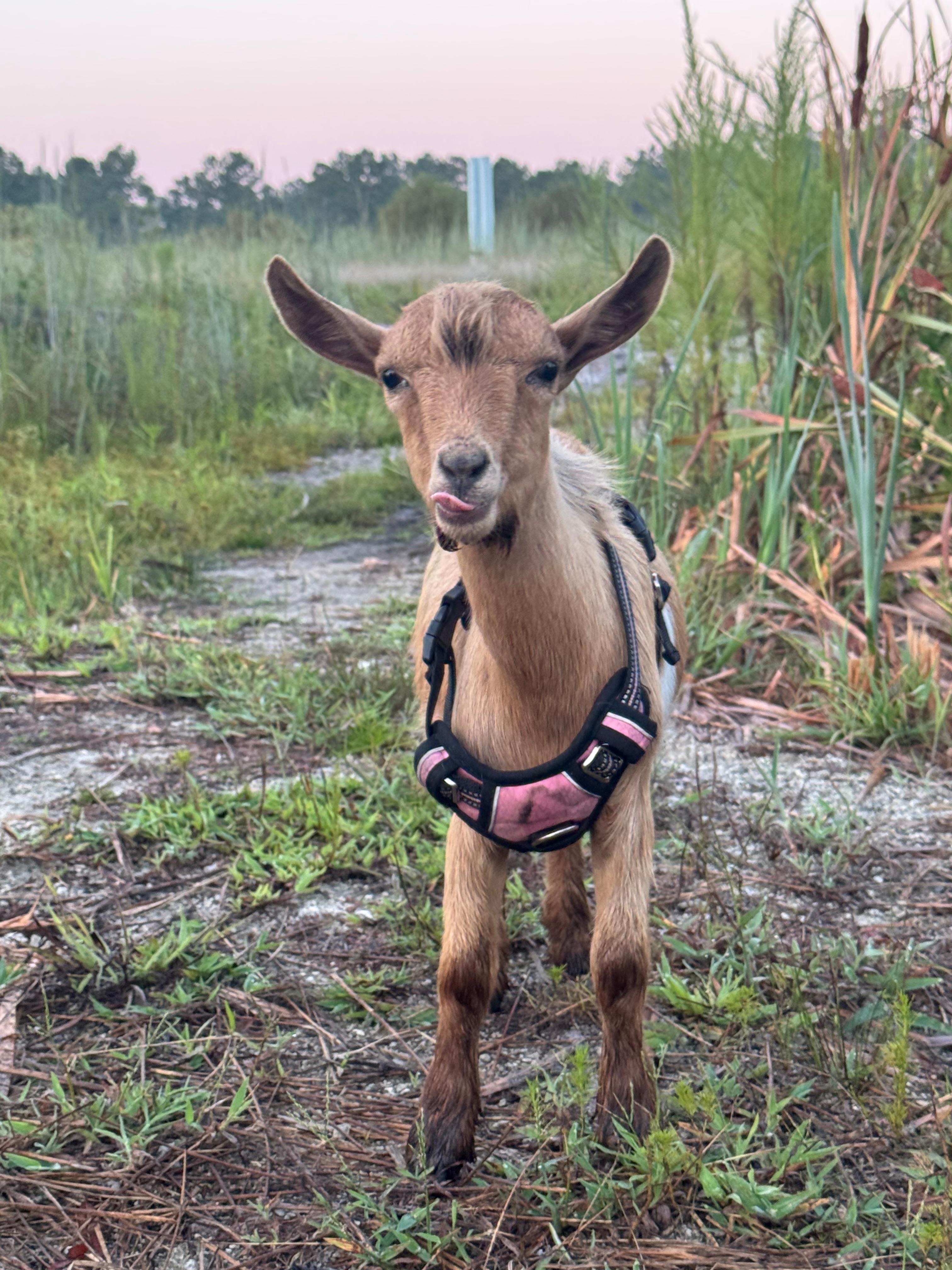 Canter Lakes Farm