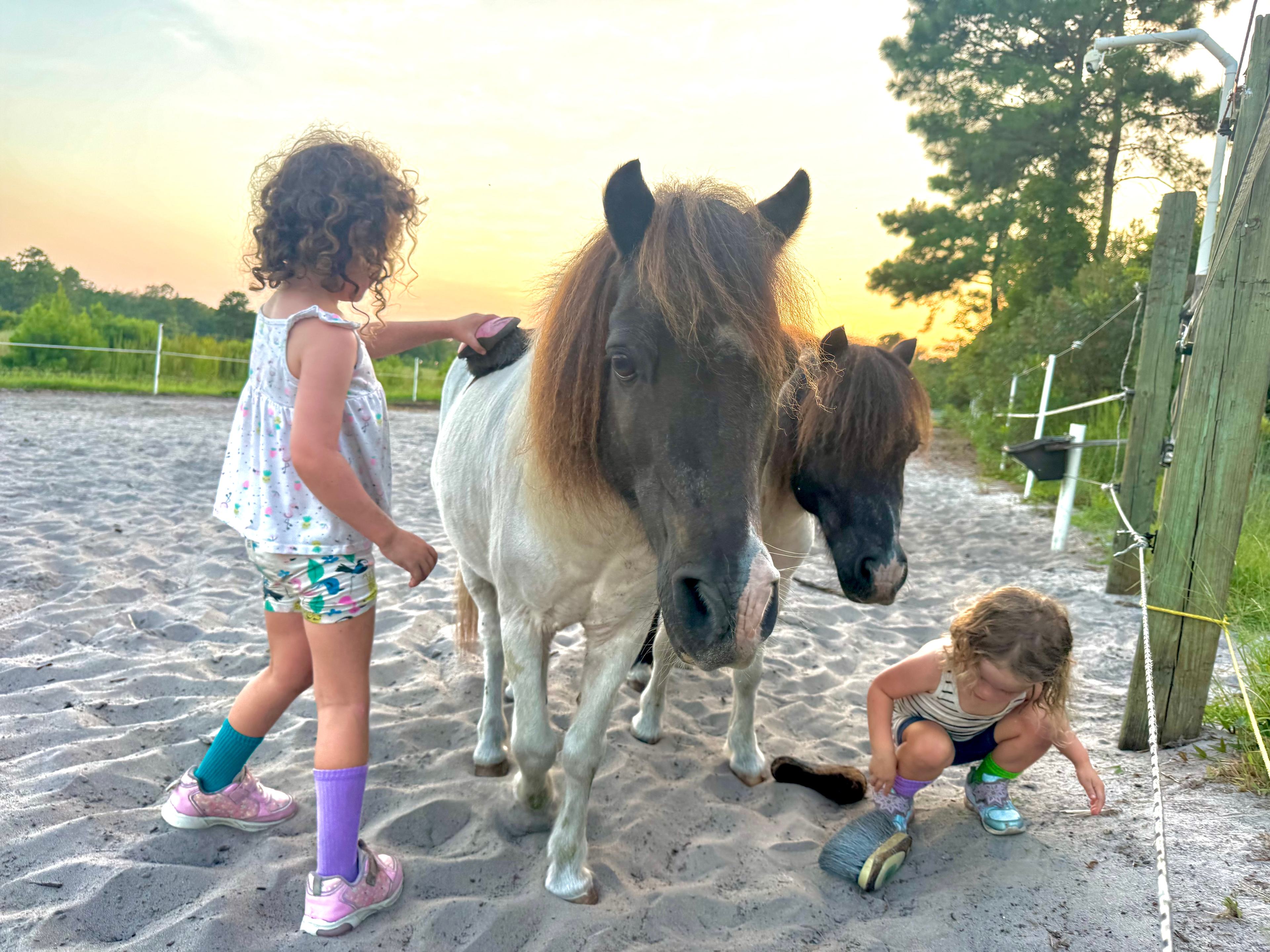 Canter Lakes Farm