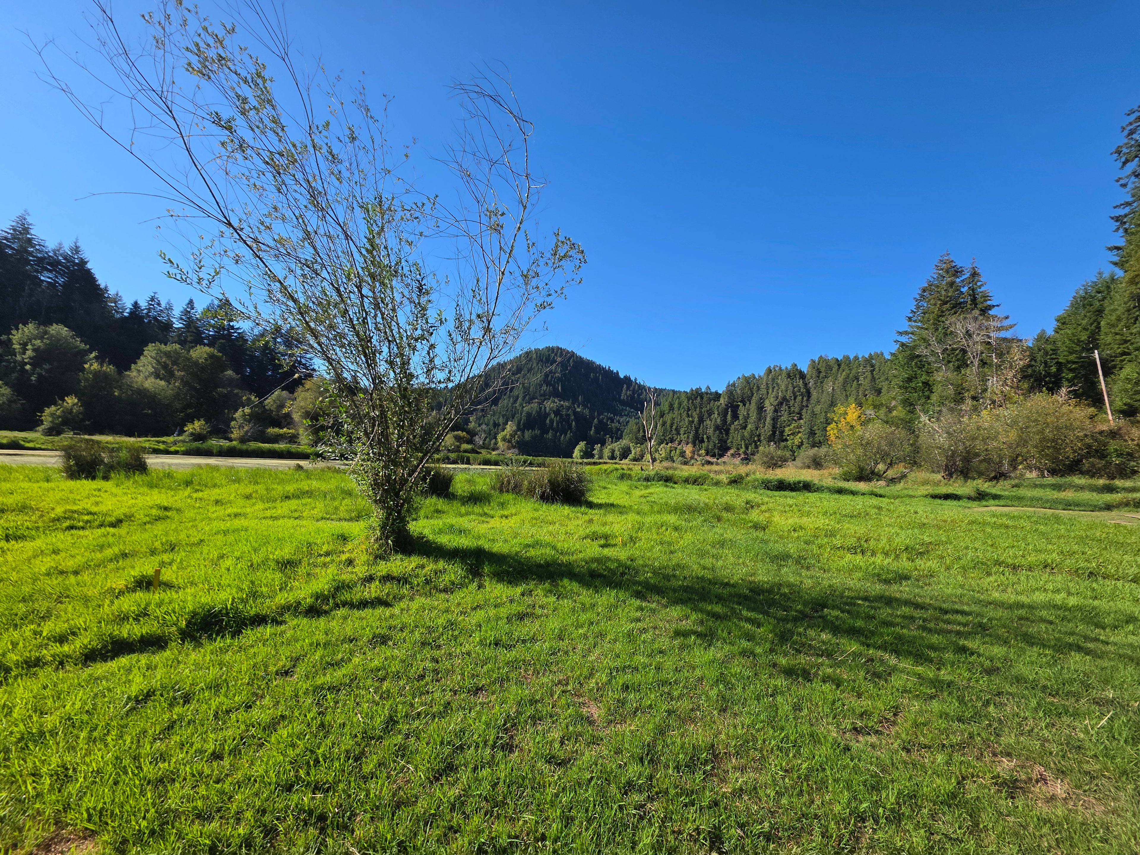Hebo Lake Campground