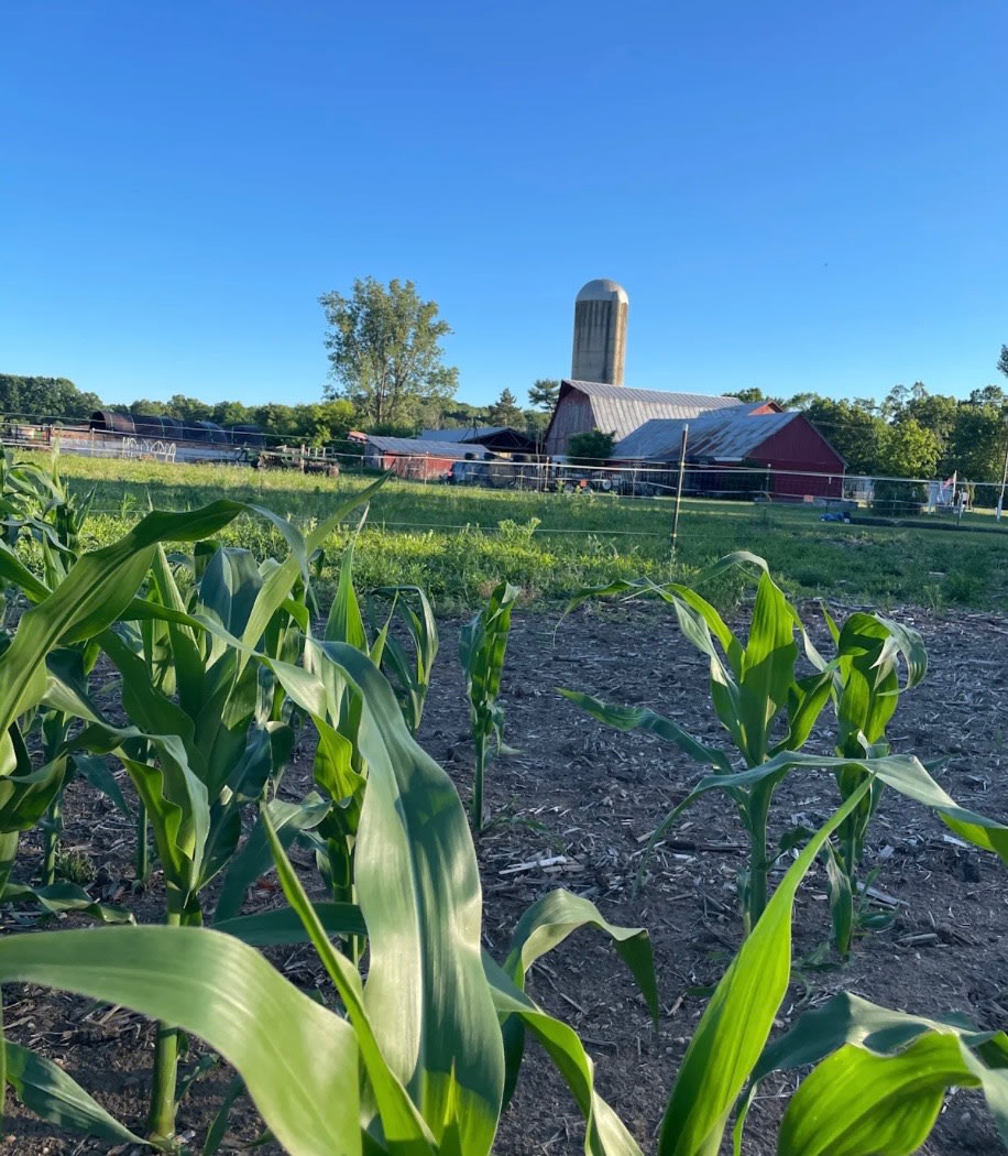 Spoelman’s, Camping on the Farm