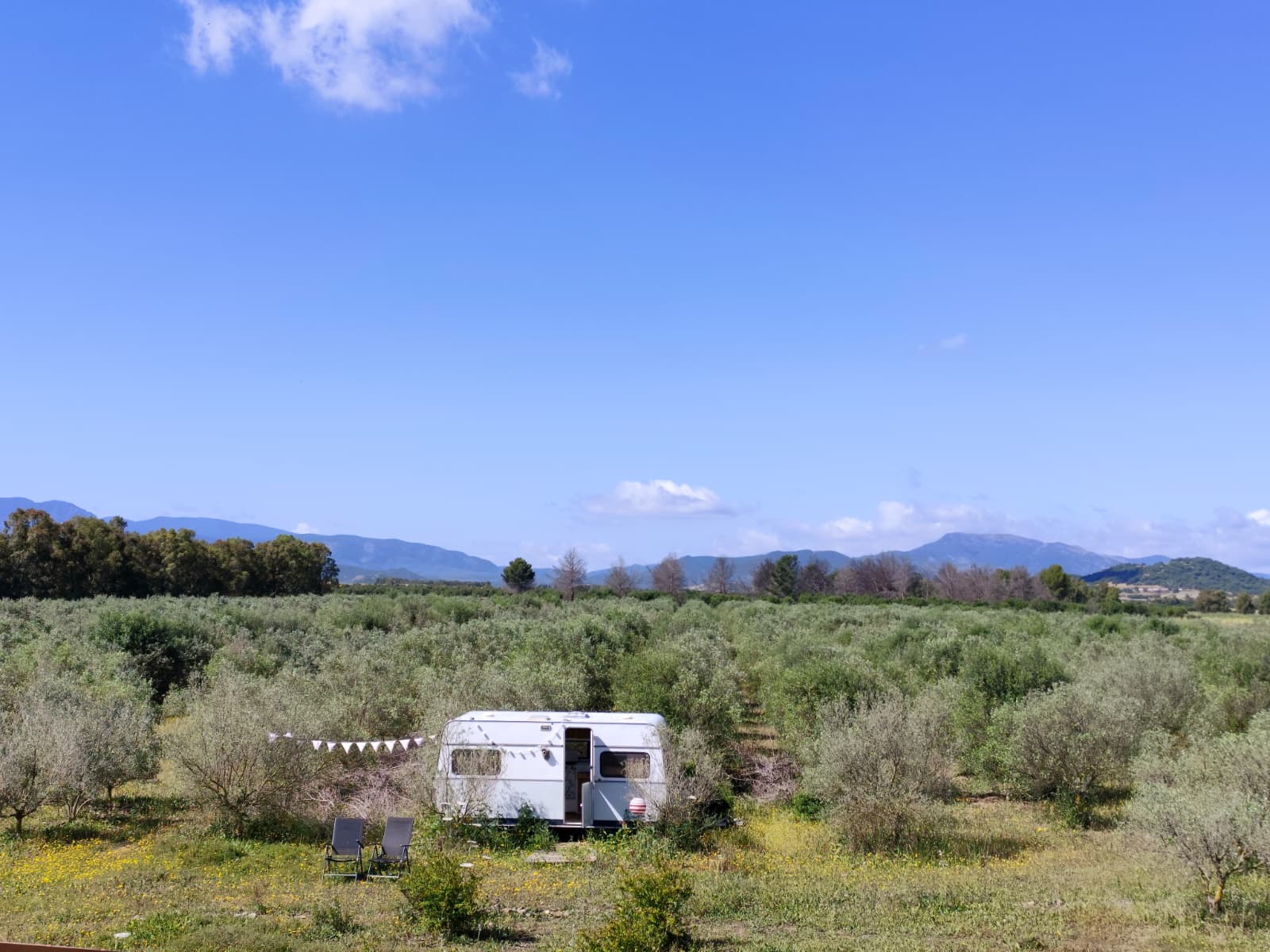 Zayna Sardinia