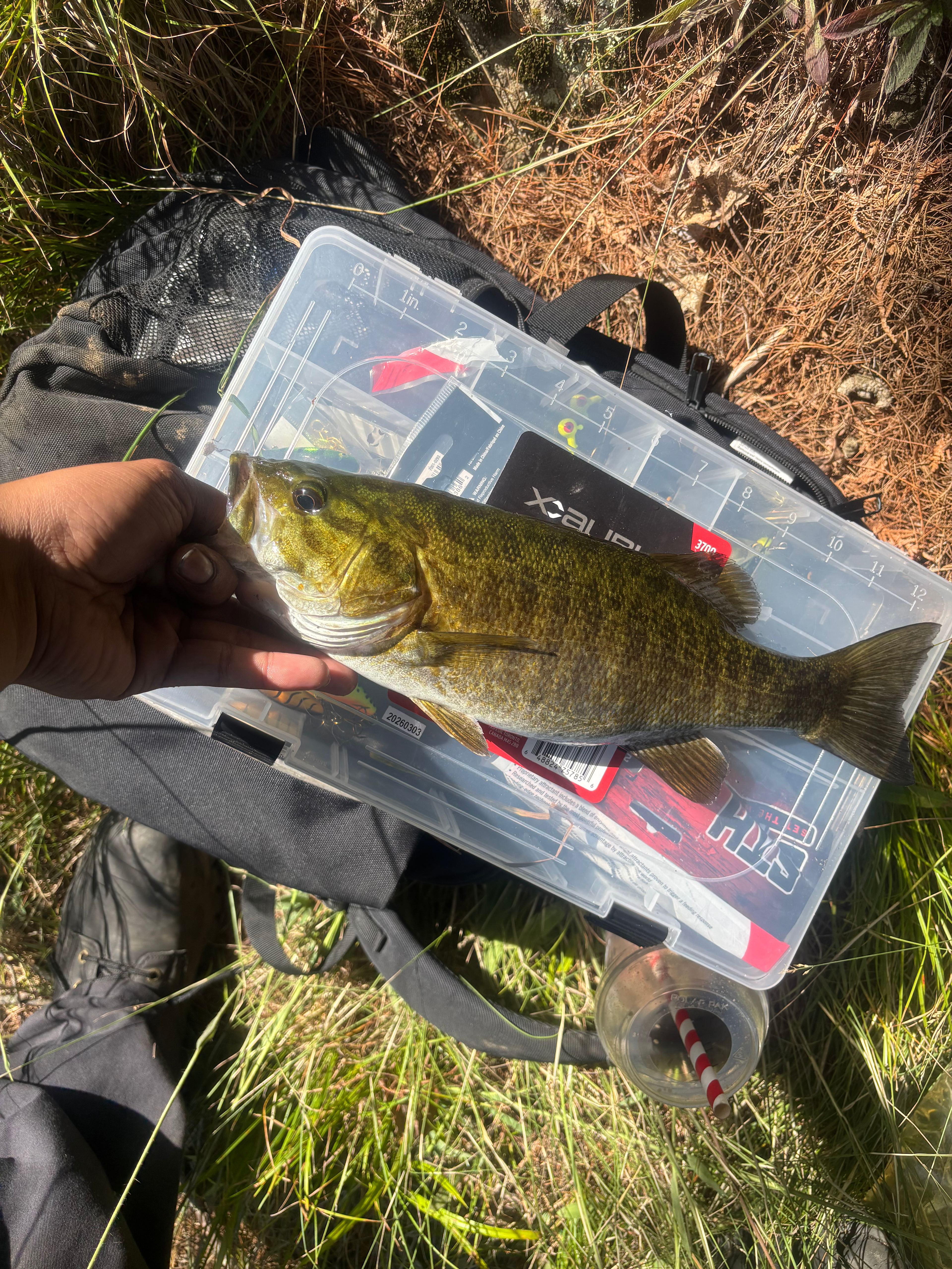 From lake about 15 mins away