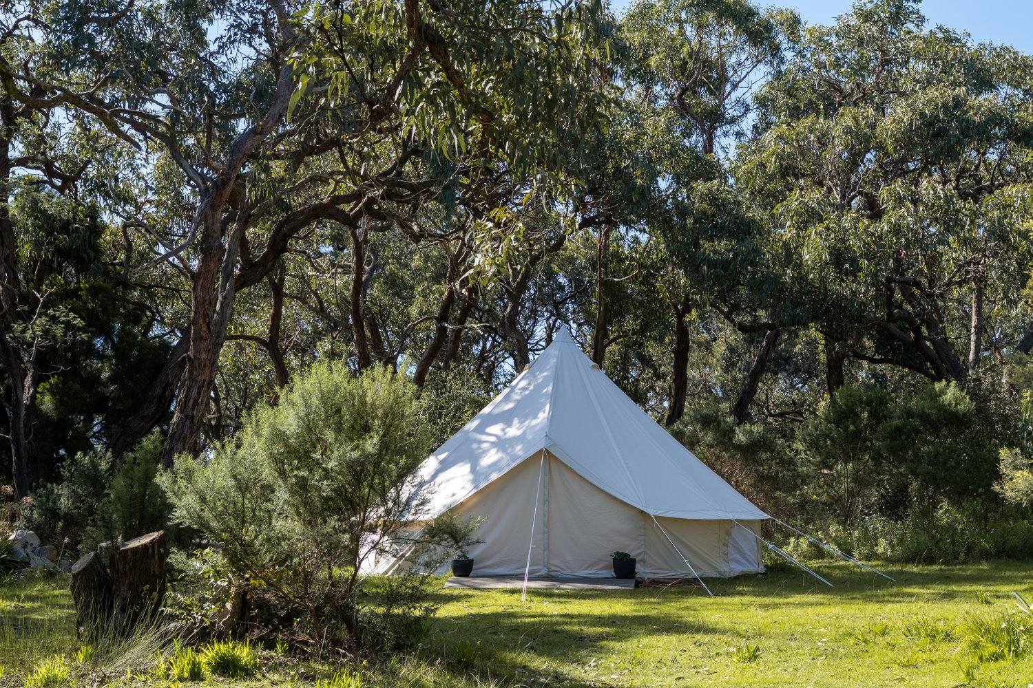 Salt Wood Glamping