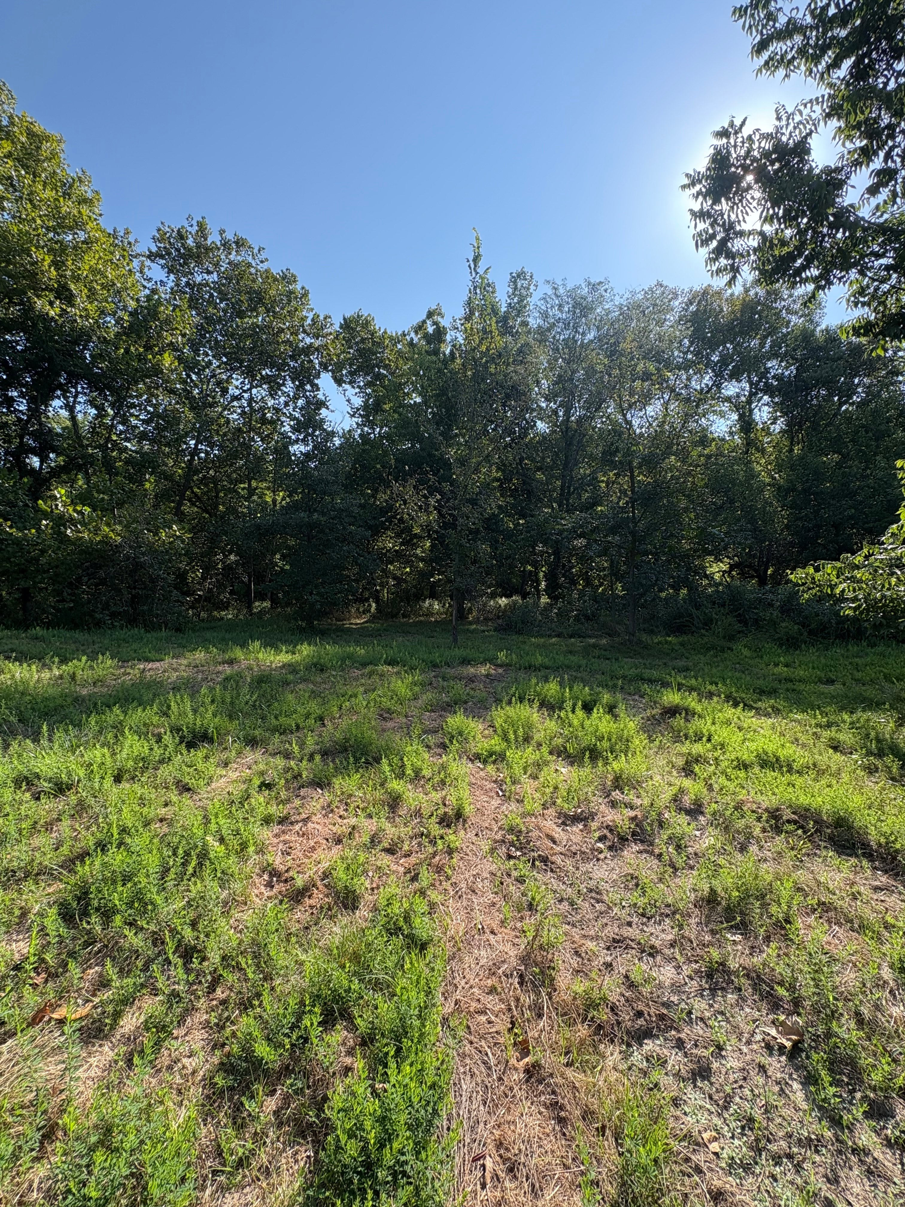 Hopper Homestead Campsite